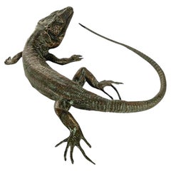 Japanese Okimono, Cast Bronze Model of a Lizard