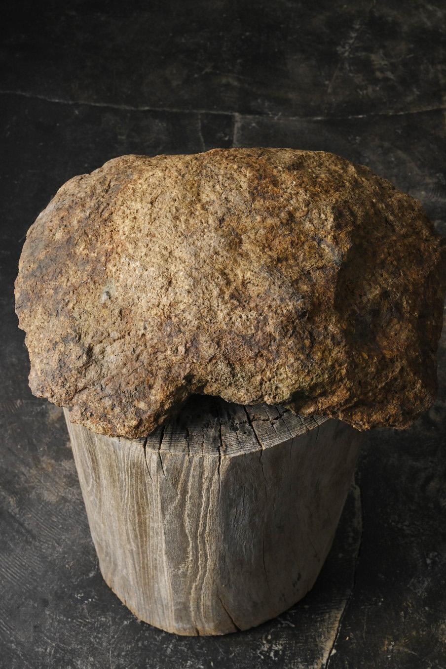 Piedra japonesa antigua de jardín / 