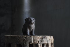 Shipping costJapanese Old Pottery Dog 1940s-1960s / Figurine Sculpture Wabi Sabi