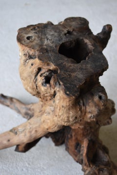 Japanese Old Tree Root Stand 1900s-1940s/Antique Object Natural Wood Wabisabi