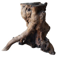 Japanese Old Tree Root Stand 1900s-1940s/Antique Object Natural Wood Wabisabi
