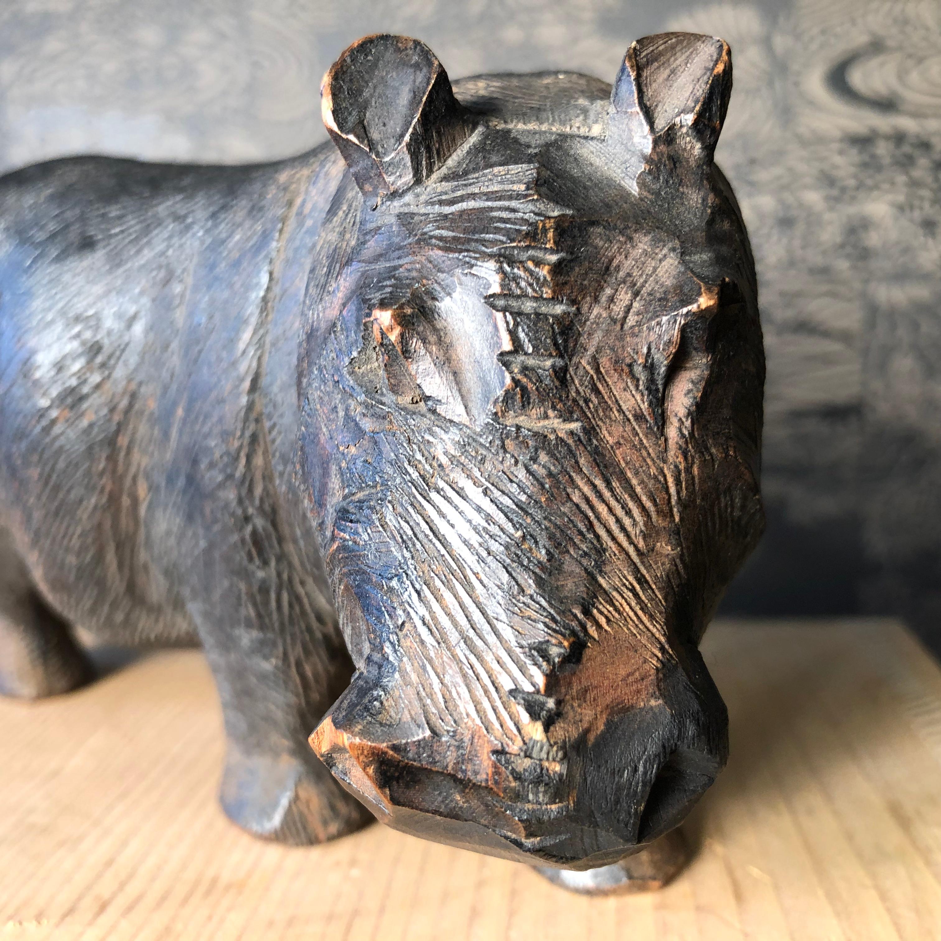 hippopotamus in japanese