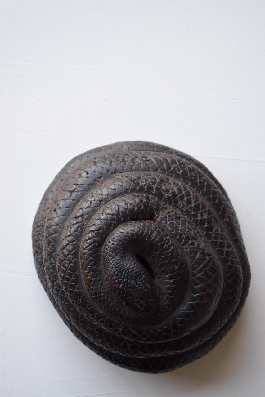 An old Japanese wood carving snake.

It seems that it is carved into a wooden bump.
The era seems to be from the Meiji era to the Taisho era.

It is a work created by an unnamed craftsman.
It will not be inferior to a good work of art.
I feel
