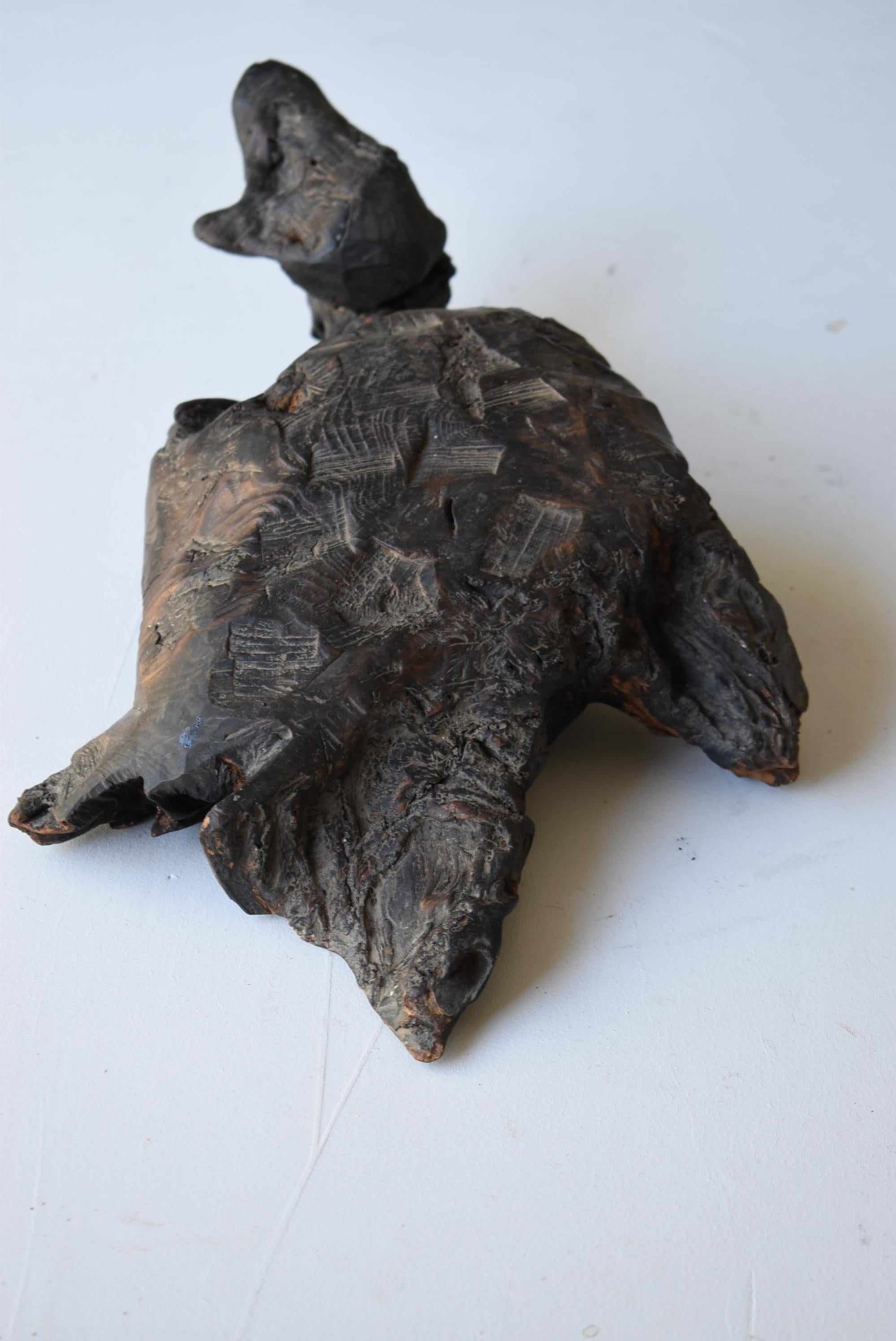 Japanese Old Wood Carving Turtle 1800s-1900s/Antique Art Wabisabi 5