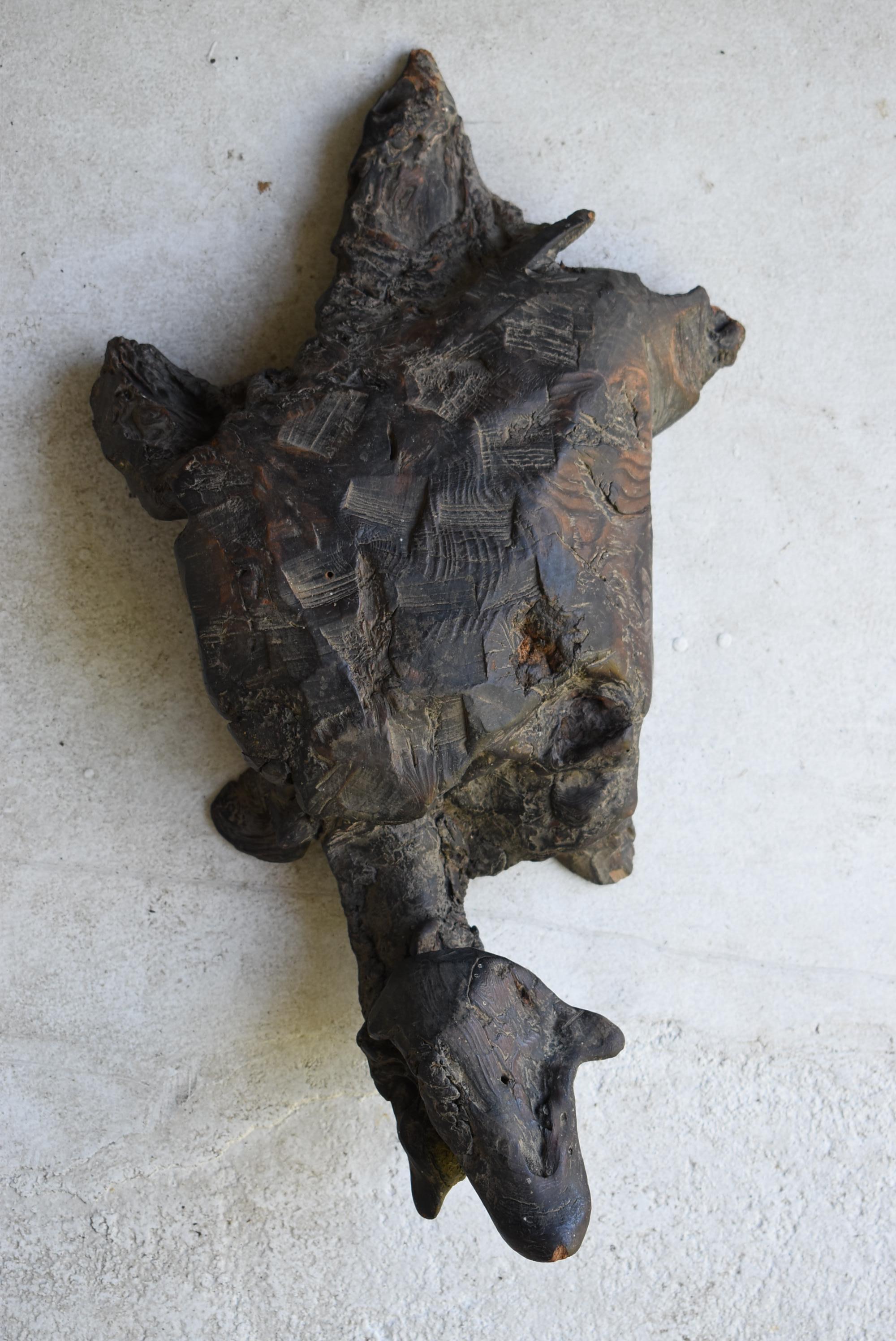 Japanese Old Wood Carving Turtle 1800s-1900s/Antique Art Wabisabi In Good Condition In Sammu-shi, Chiba