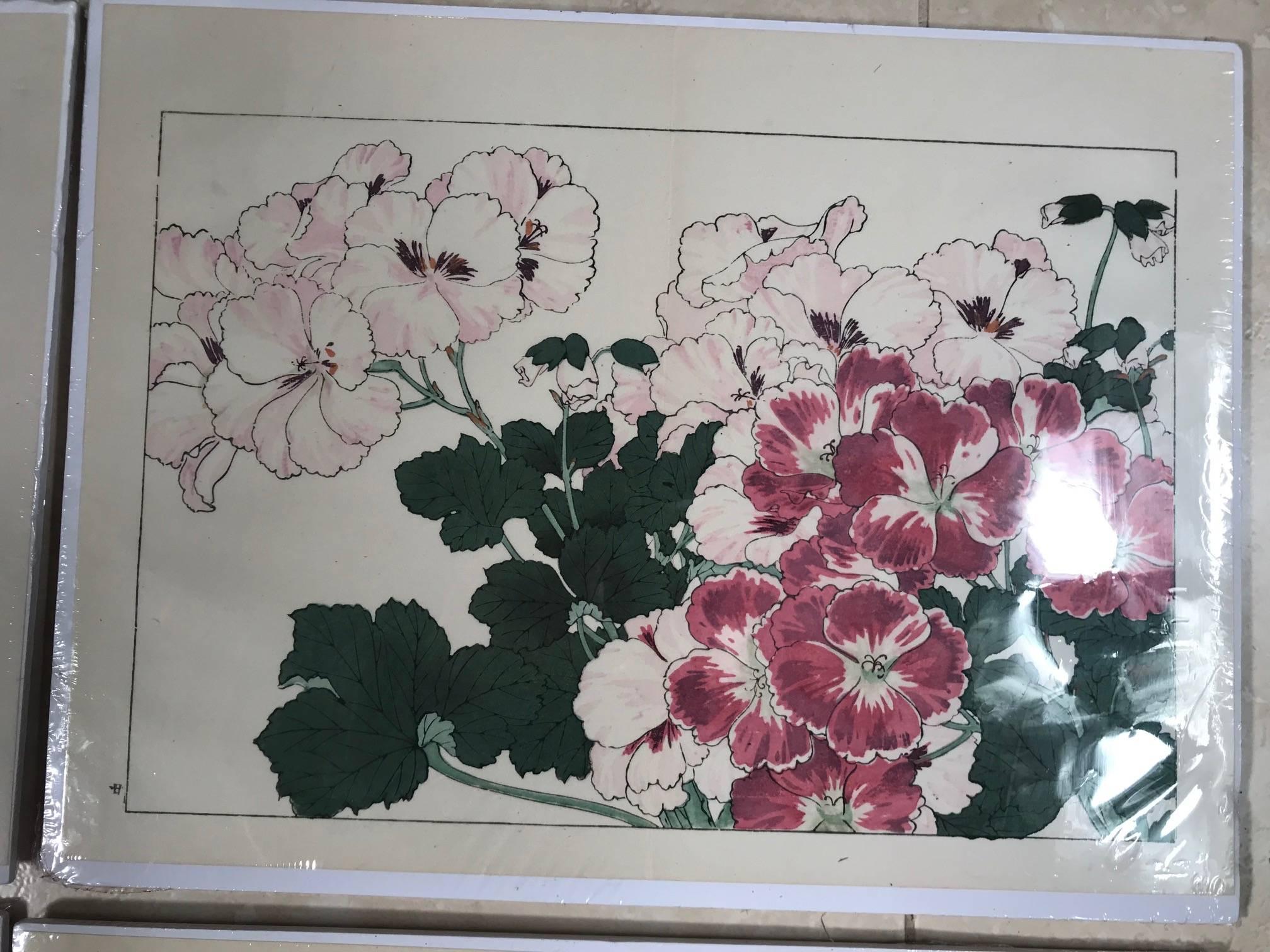 Showa Japanese Old Woodblock Flower Prints Tanigami Konan  Immediately Frameable #2