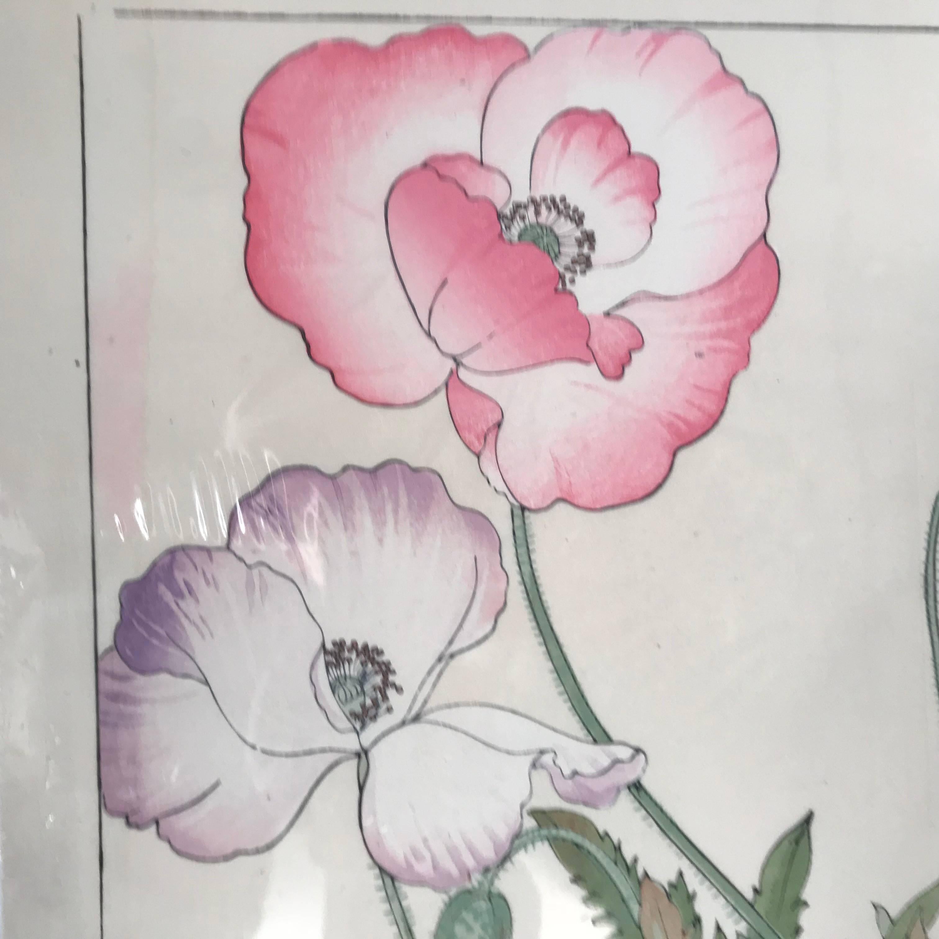 Japanese Old Woodblock Flower Prints Tanigami Konan Immediately Frameable #4 3