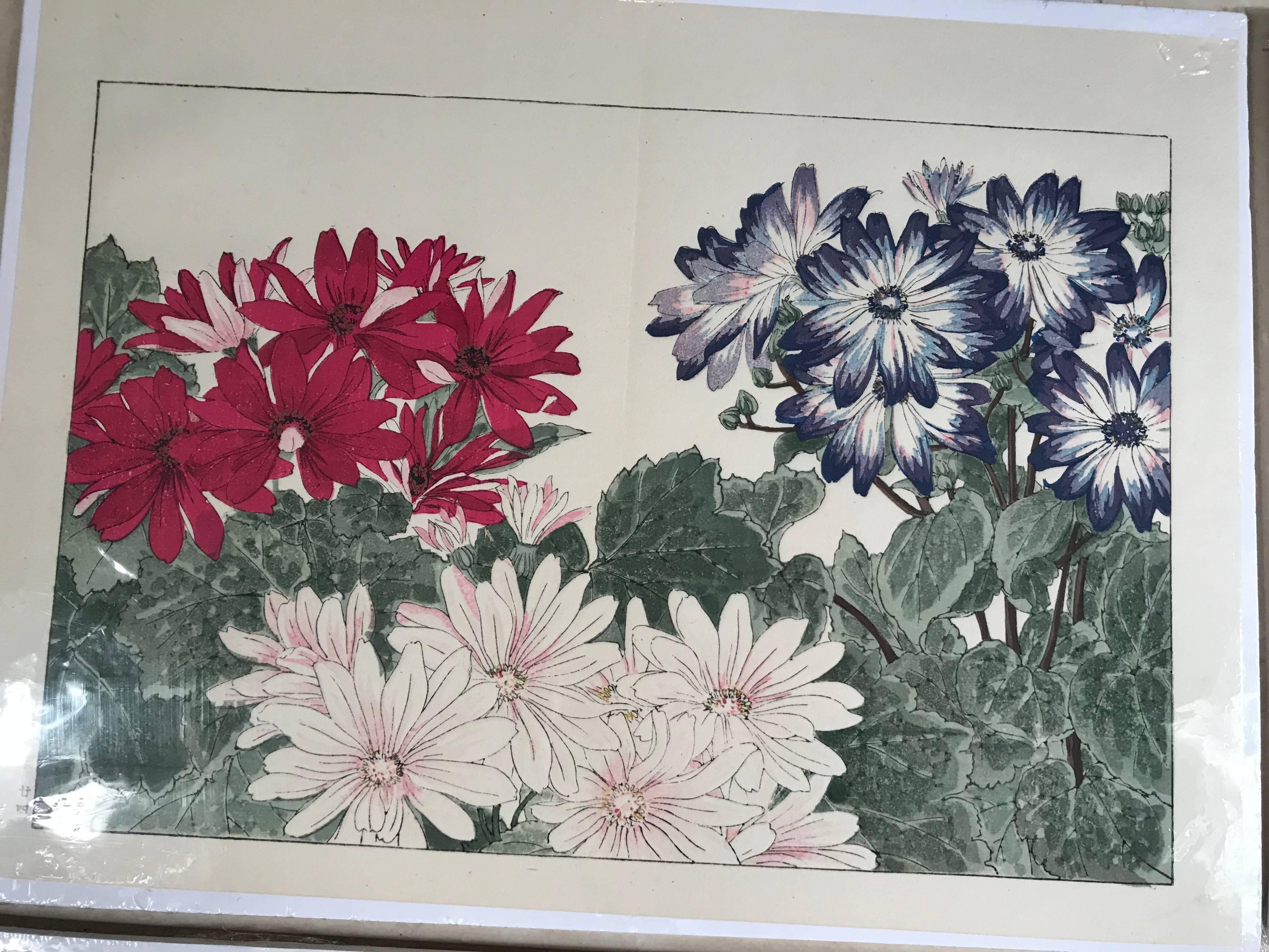 Showa Japanese Old Woodblock Flower Prints Tanigami Konan Immediately Frameable #4