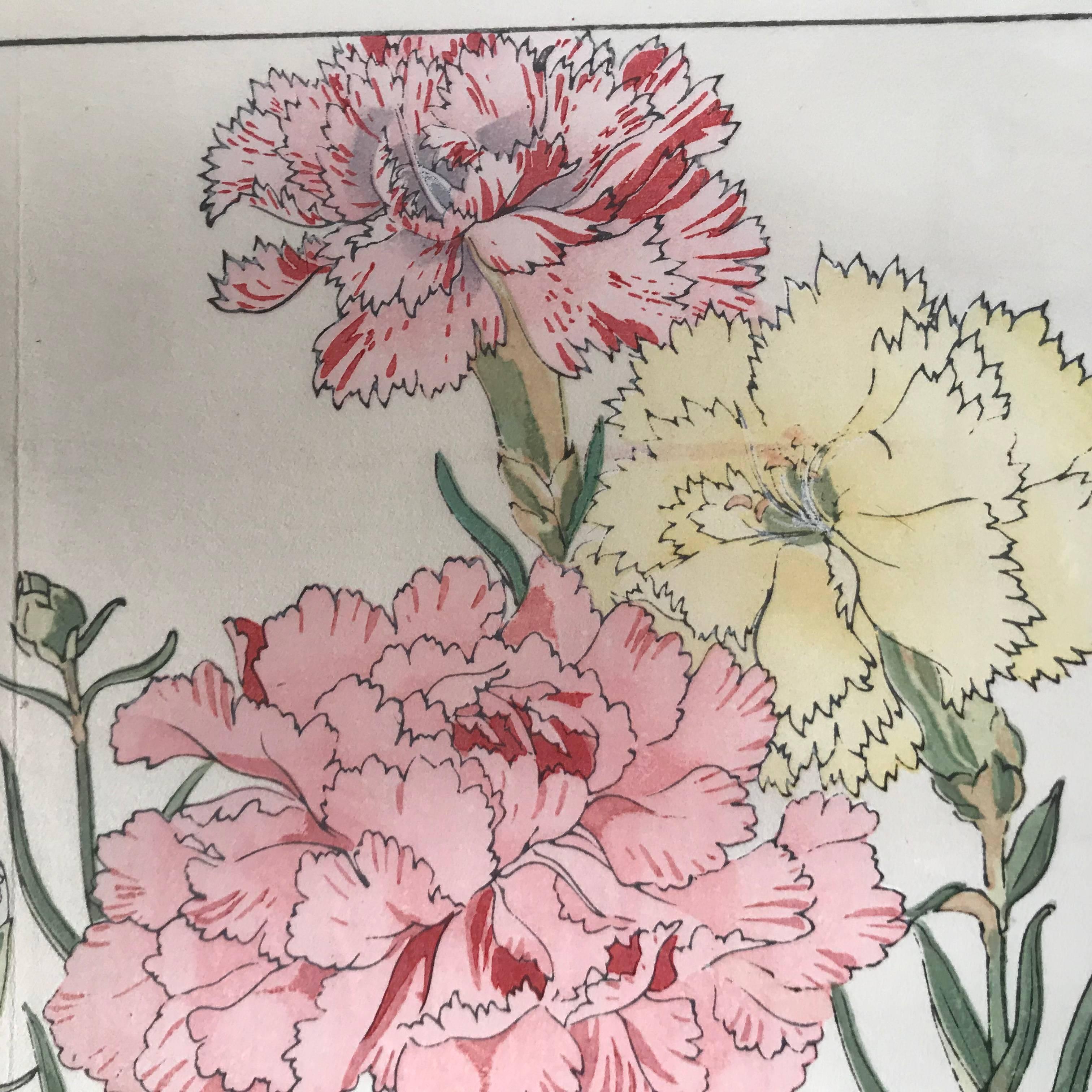 20th Century Japanese Old Woodblock Flower Prints Tanigami Konan Immediately Frameable #4