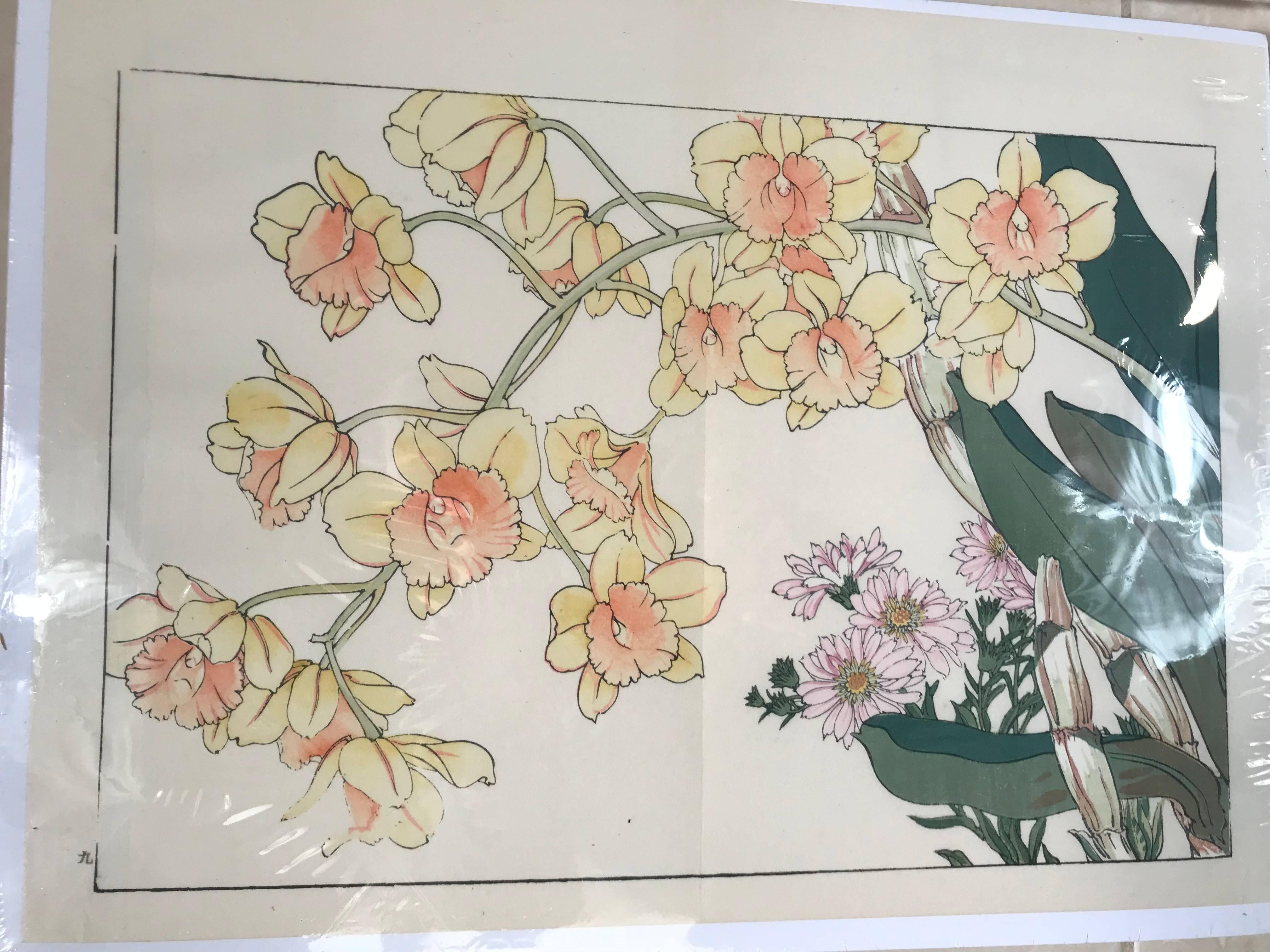 Paper Japanese Old Woodblock Flower Prints Tanigami Konan Immediately Frameable #4