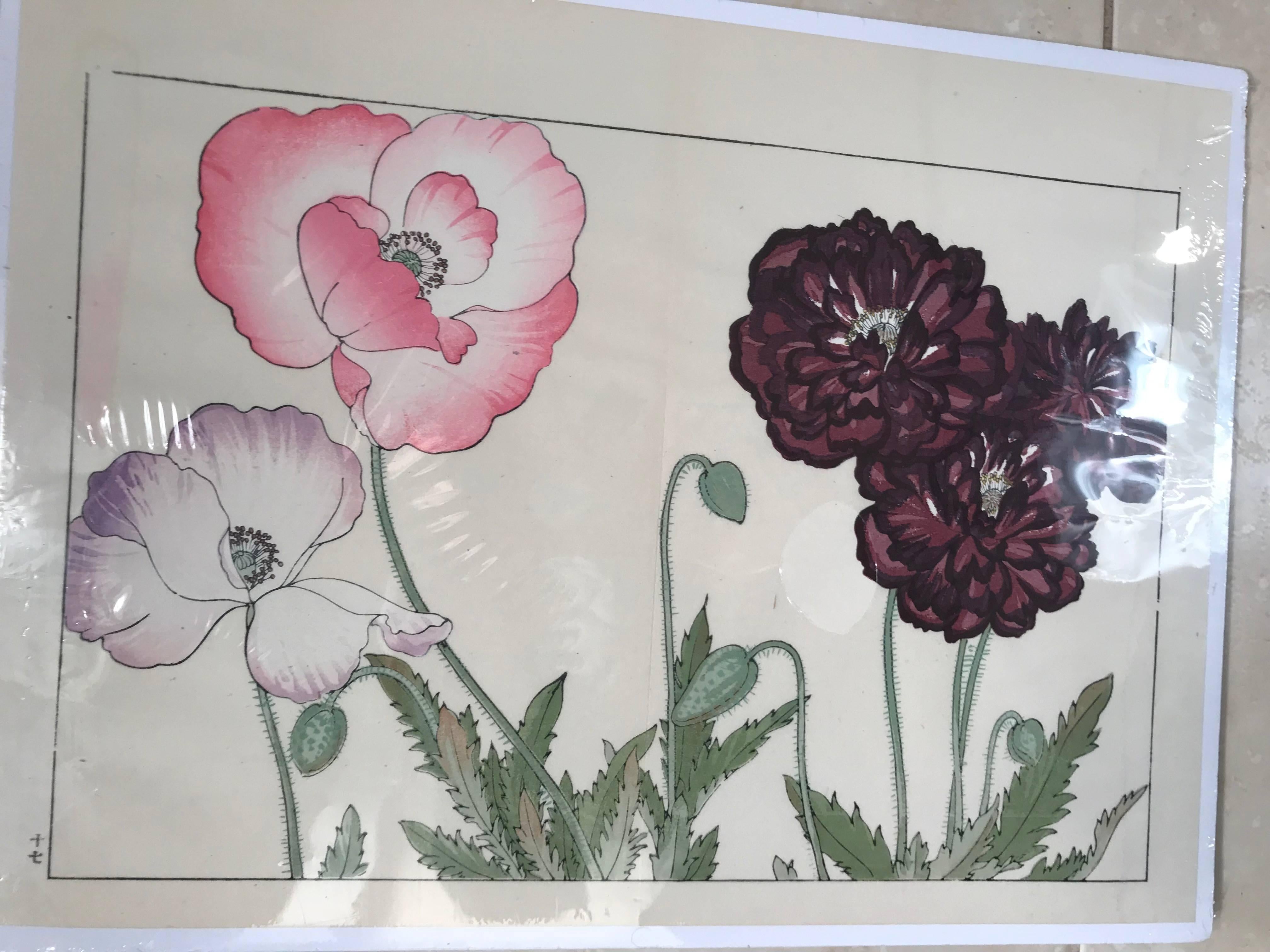 Japanese Old Woodblock Flower Prints Tanigami Konan Immediately Frameable #4 2