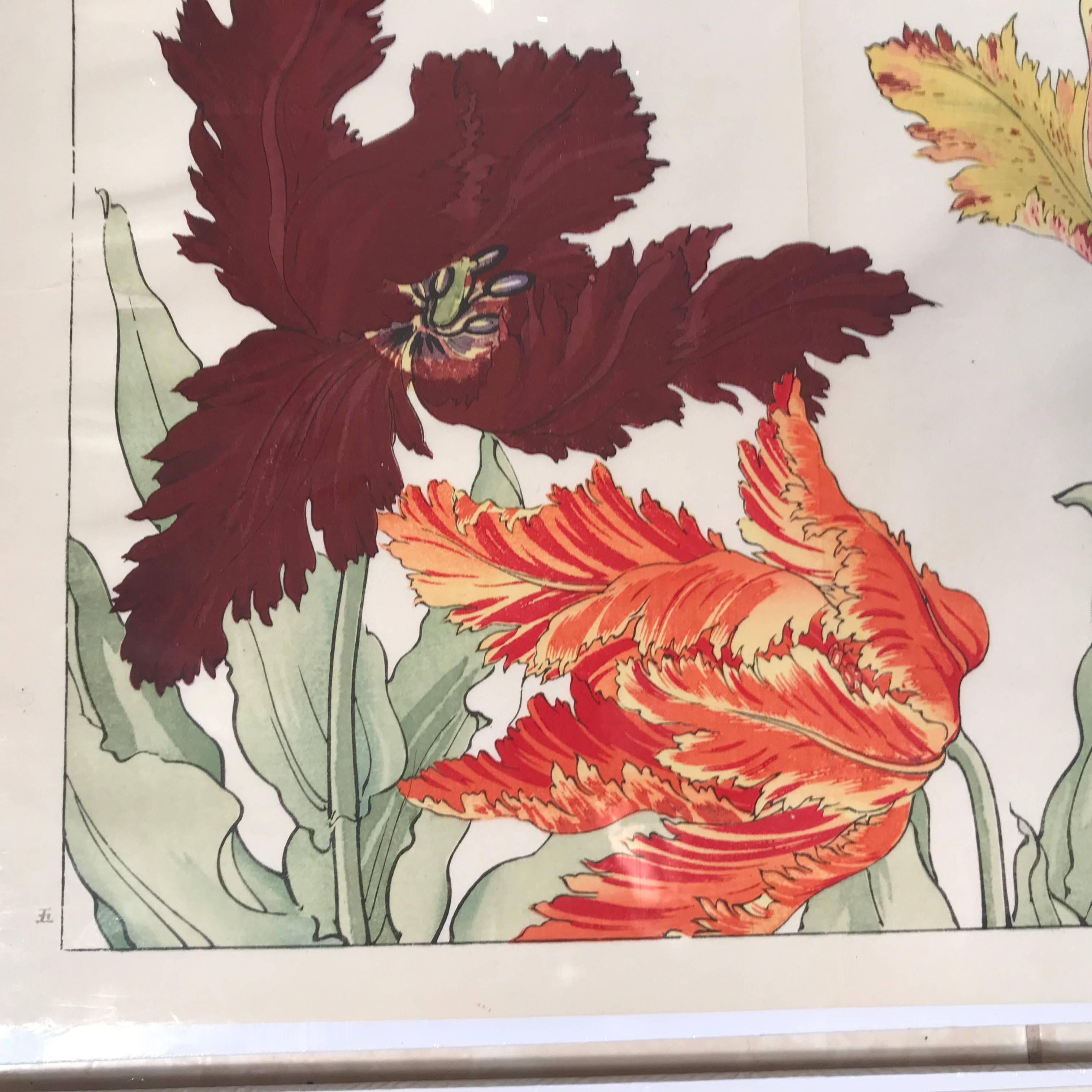 Japanese Old Woodblock Flower Prints Tanigami Konan  Immediately Frameable, #1 2