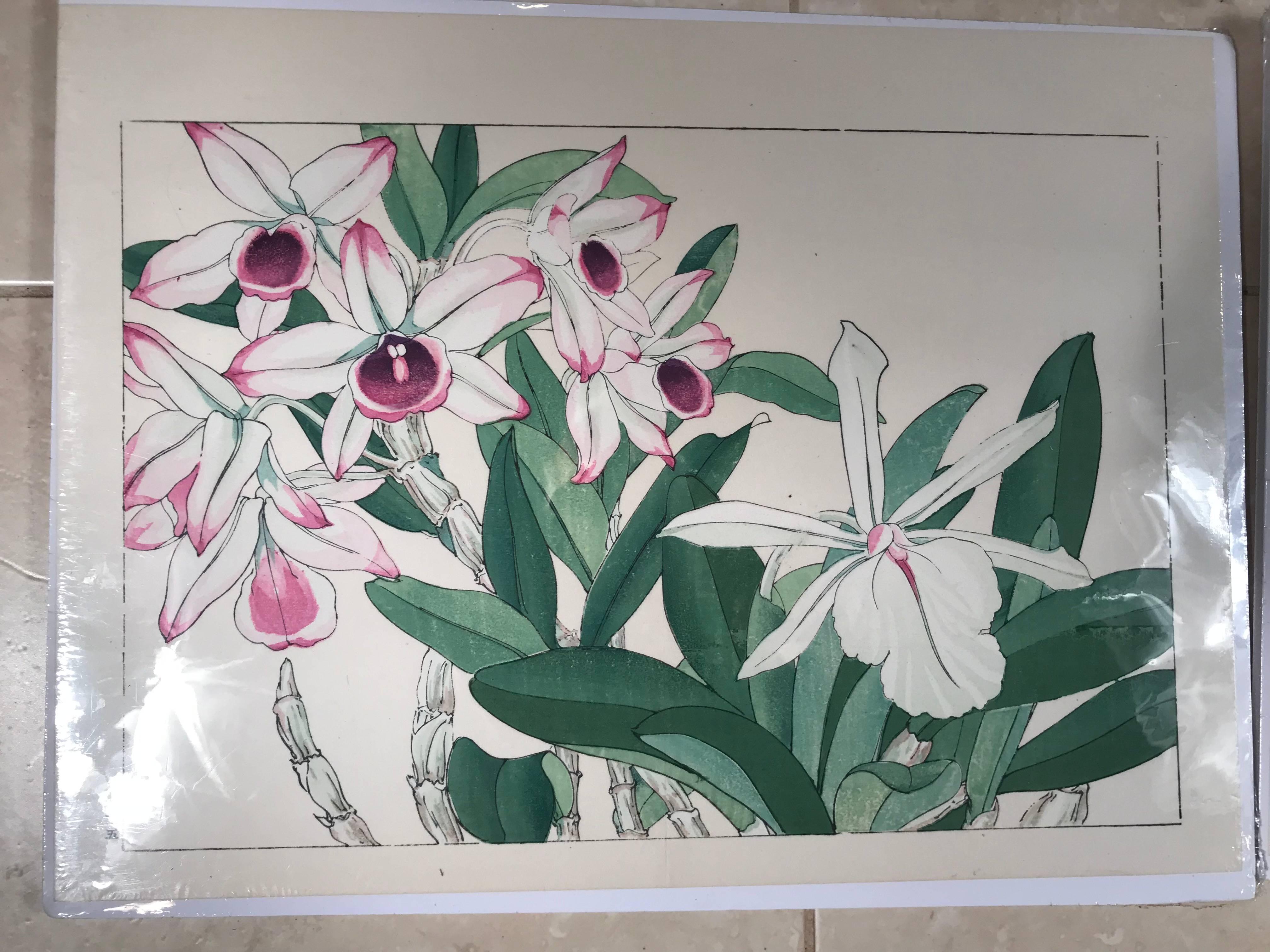Hand-Crafted Japanese Old Woodblock Flower Prints Tanigami Konan  Immediately Frameable, #1