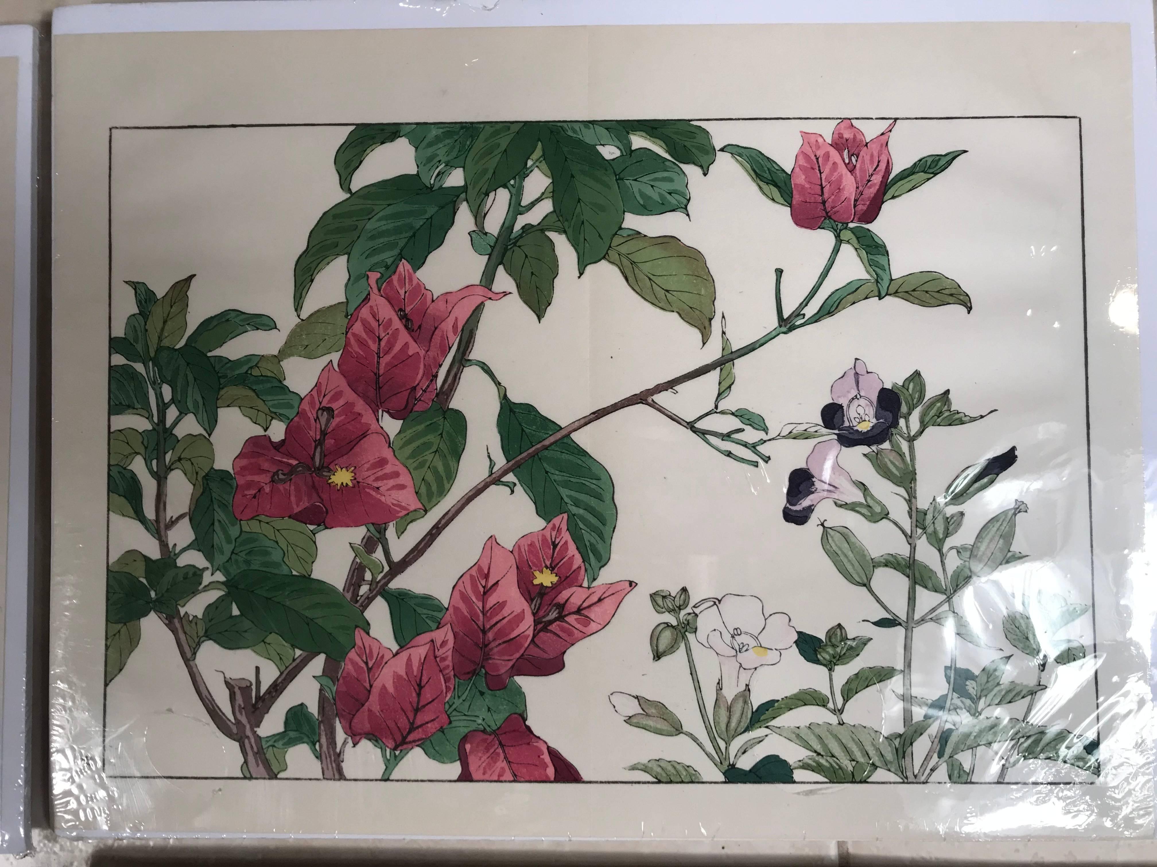20th Century Japanese Old Woodblock Flower Prints Tanigami Konan  Immediately Frameable, #1