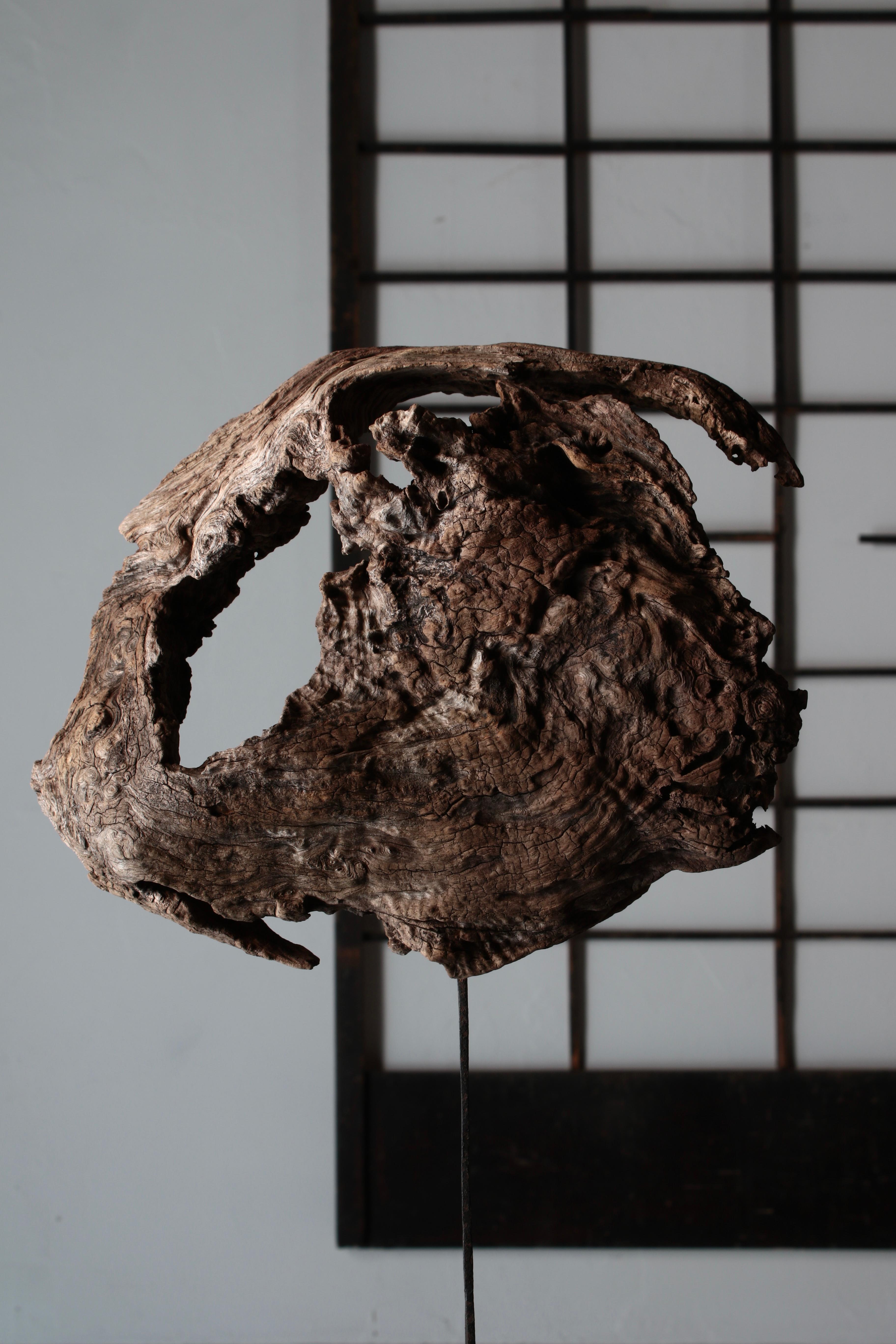 Japanisches altes Holzobjekt / Holz-Lump-Figur, Wabi-Sabi im Angebot 9