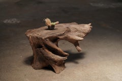 19th Century Japanese Organic Trunk Root Side Table, Sculptural Design