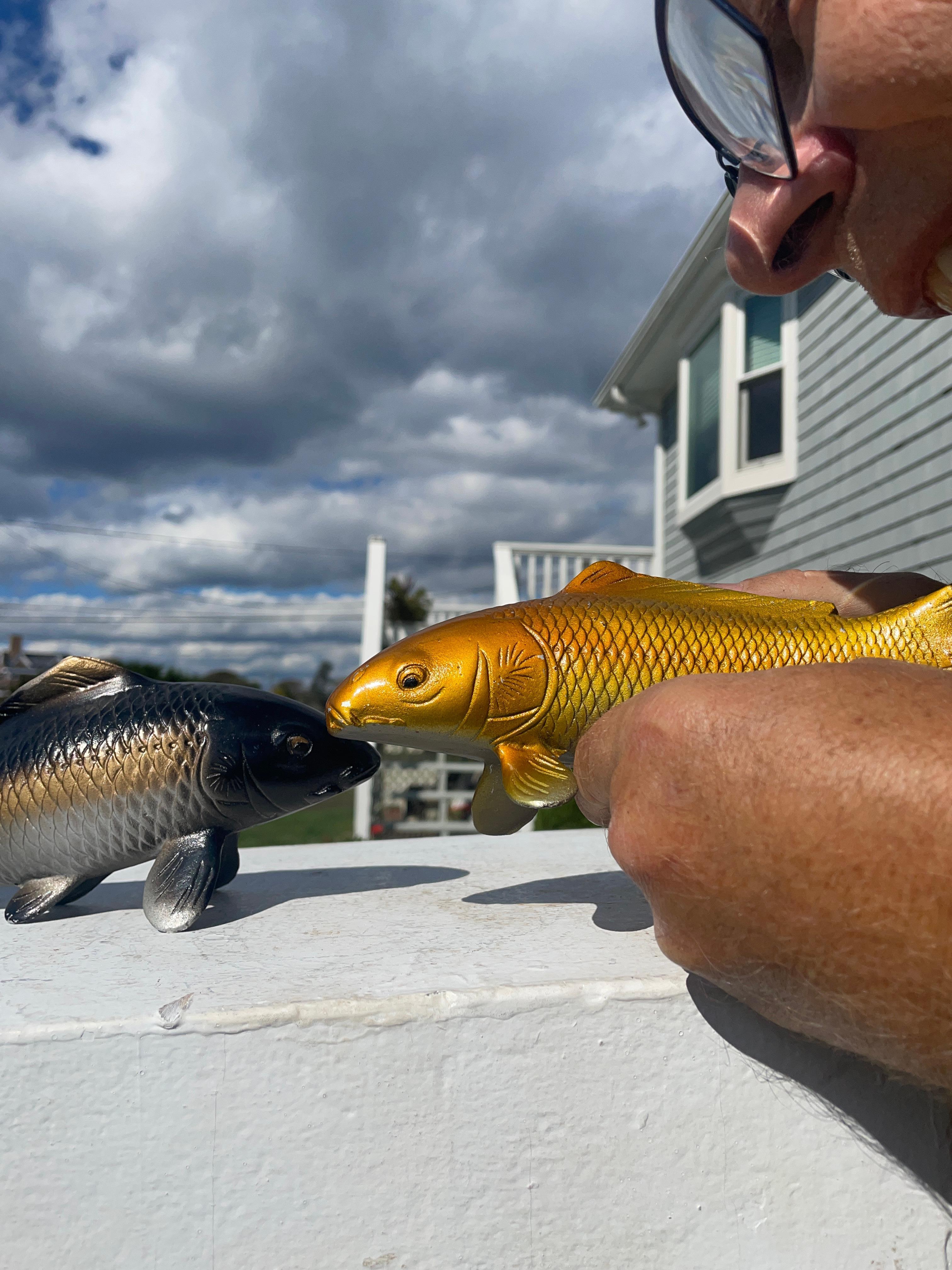 Brilliant original hand painted colors.

Here's a rare find from a collector in Kyoto. A very unusual treasure from Japan. 

This is a finely crafted pair (2) of bronze koi one in a realistic striped brown, gold, and silver color andthe slightly