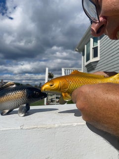 Japanese Pair Brilliant Color Cast Bronze Koi