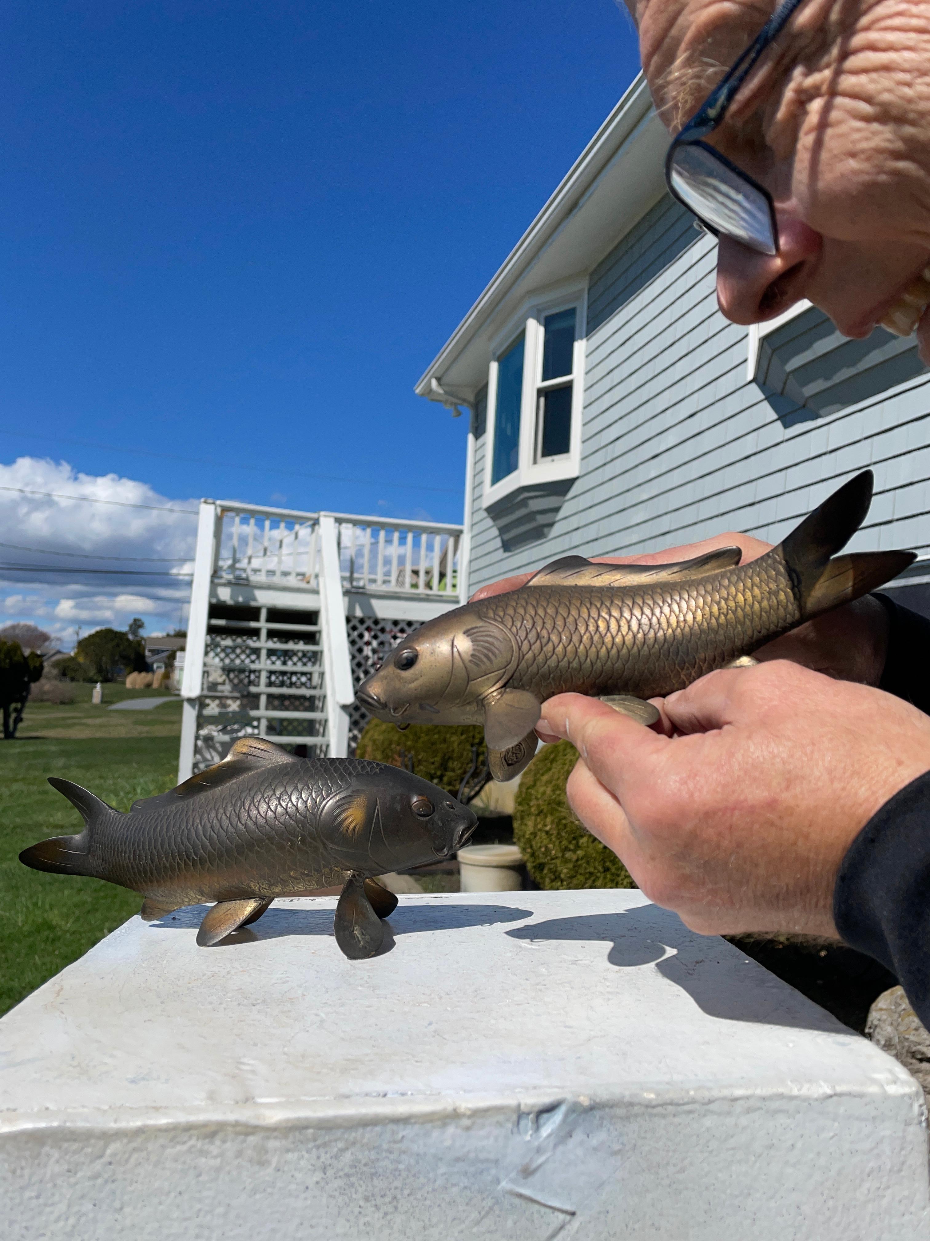 Signed and with original old patina 

Here's a rare find from a collector in Kyoto. A very unusual treasure from Japan. 

This is a finely crafted pair (2) of bronze koi one in a realistic darker brown color and one in light gold color.

Both