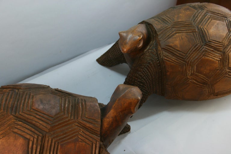 Hardwood Japanese Pair of Life Size Carved Wood Turtles For Sale