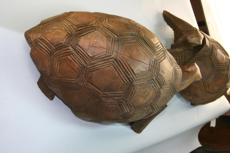 Japanese Pair of Life Size Carved Wood Turtles For Sale 2