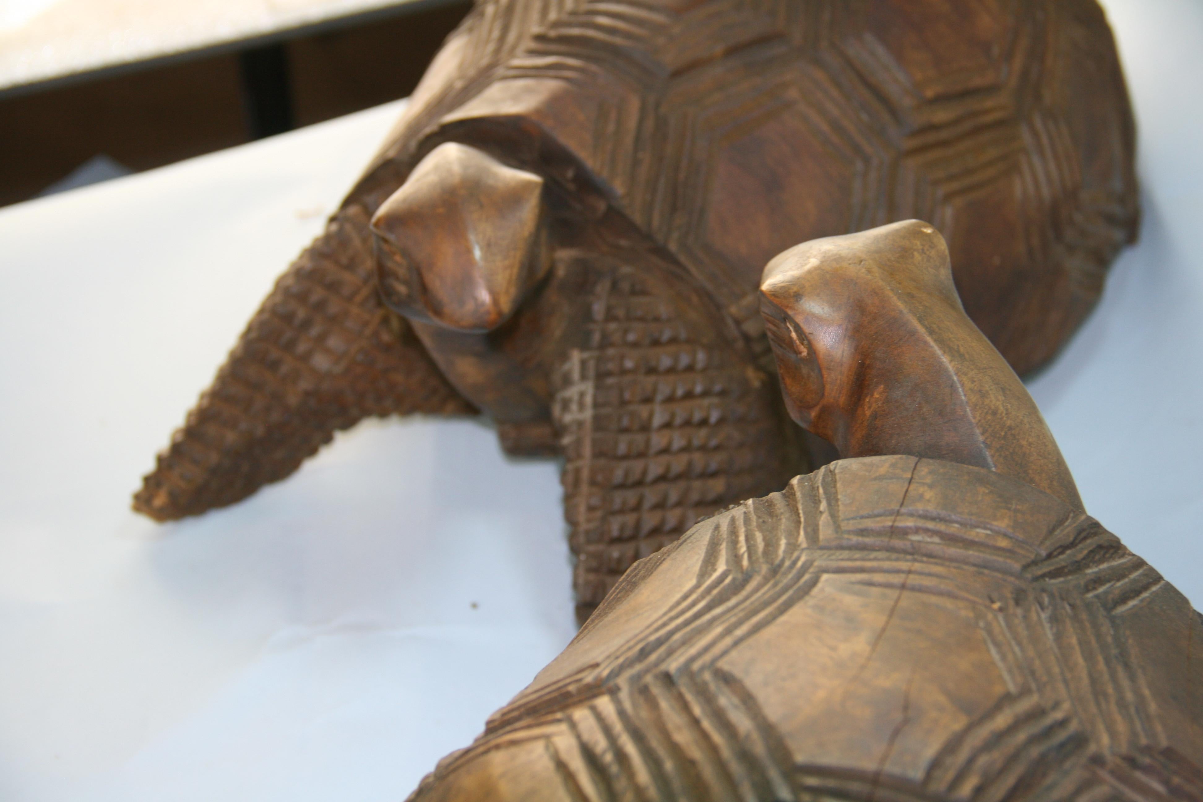 Japanese Pair of Life Size Carved Wood Sea Turtles For Sale 3