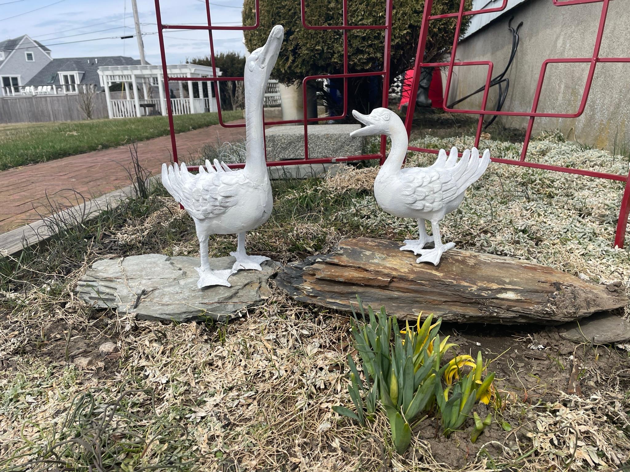 garden ducks for sale