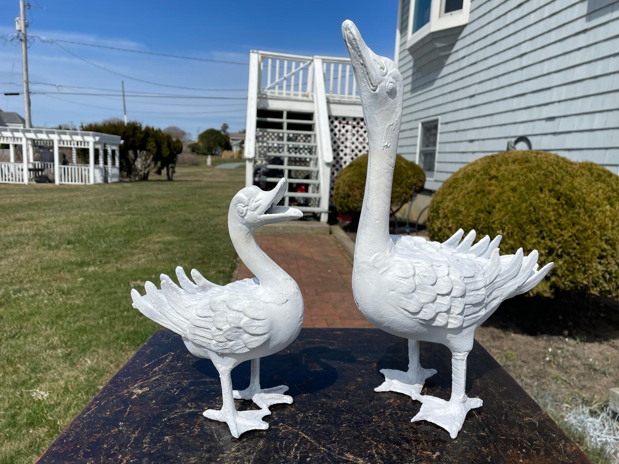 white ducks for sale