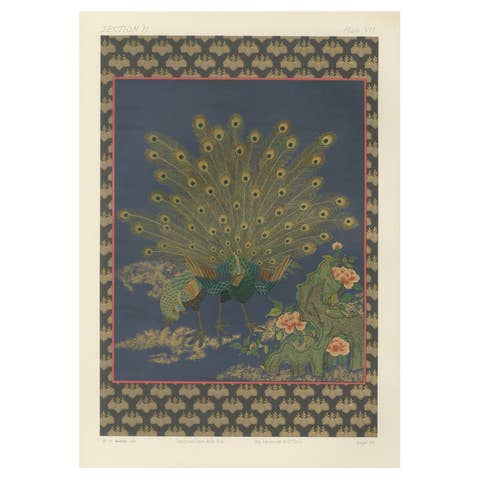 Japanese Peacocks in Full Plumage: Antique Lithograph, 1880s