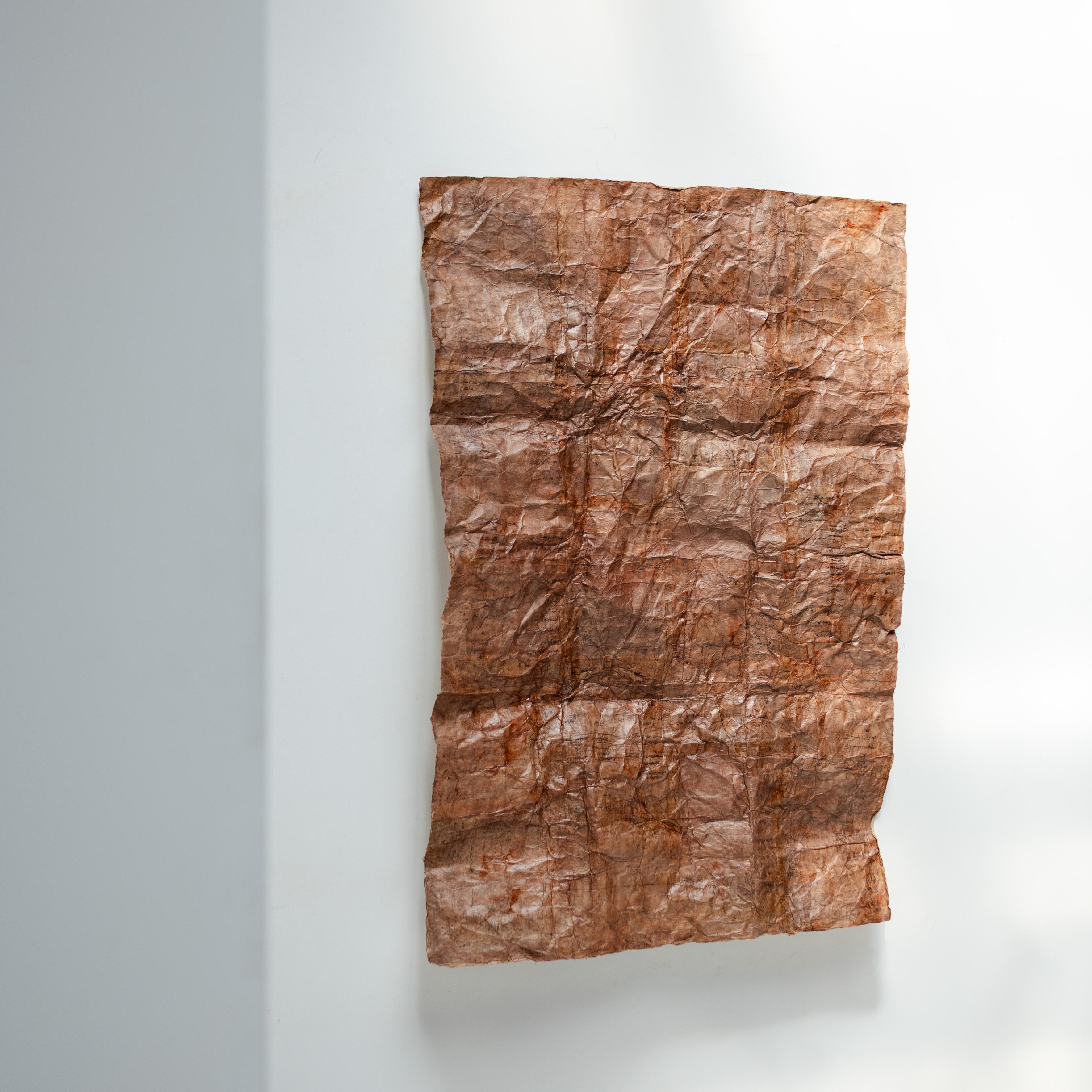 Japanese Persimmon-Dyed Washi Curtain (Shichou-maku), 19th Century For Sale 5