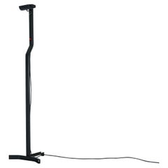 Japanese Postmodern Sirio Floor Lamp by Kazuhide Takahama for Sirrah, 1970s