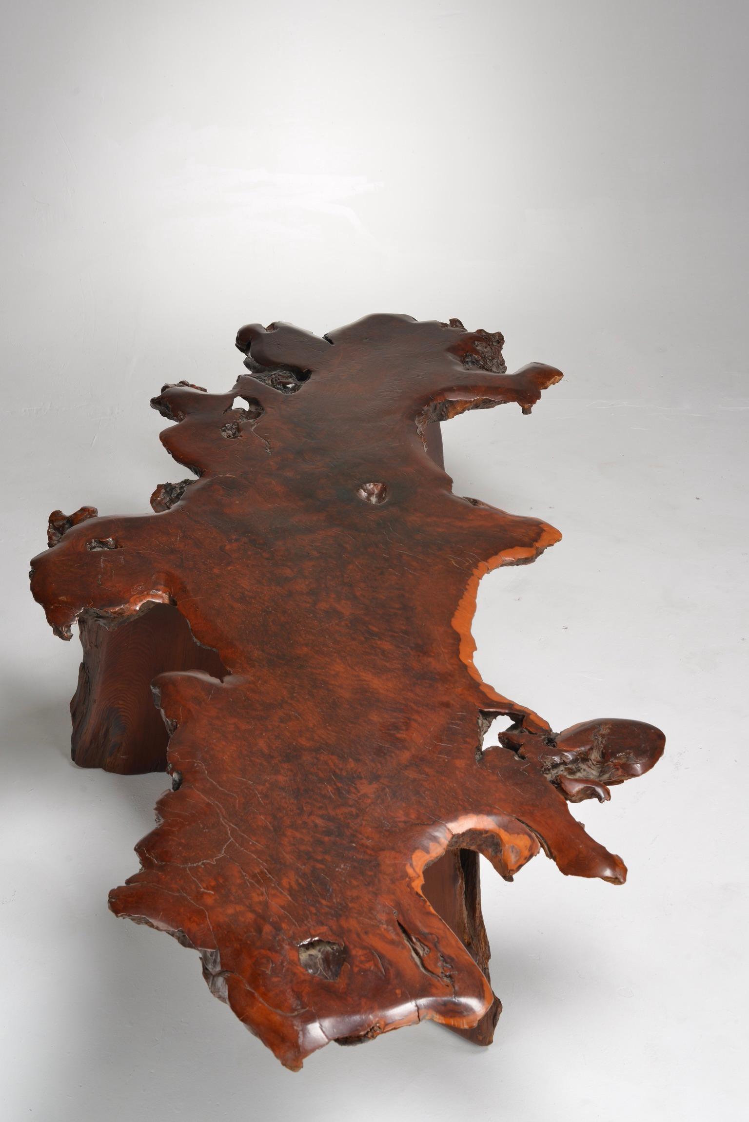 Japanese Redwood Burl Table For Sale 3