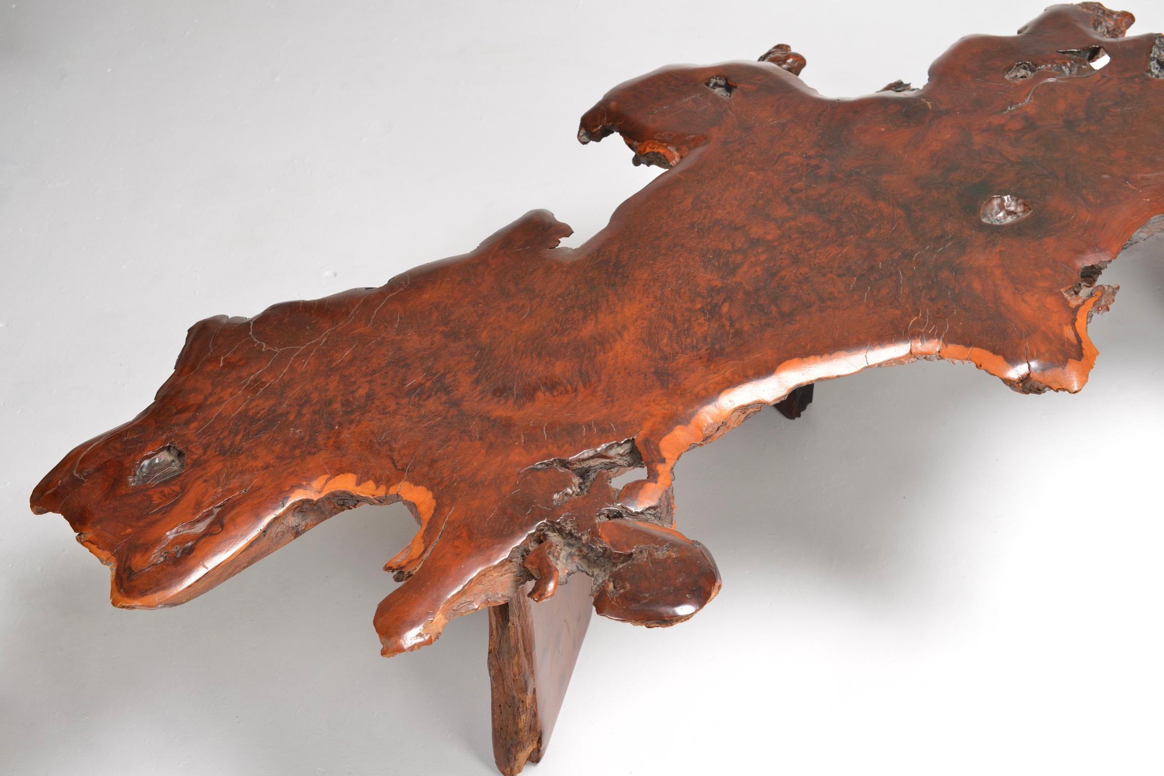 Japanese Redwood Burl Table For Sale 5