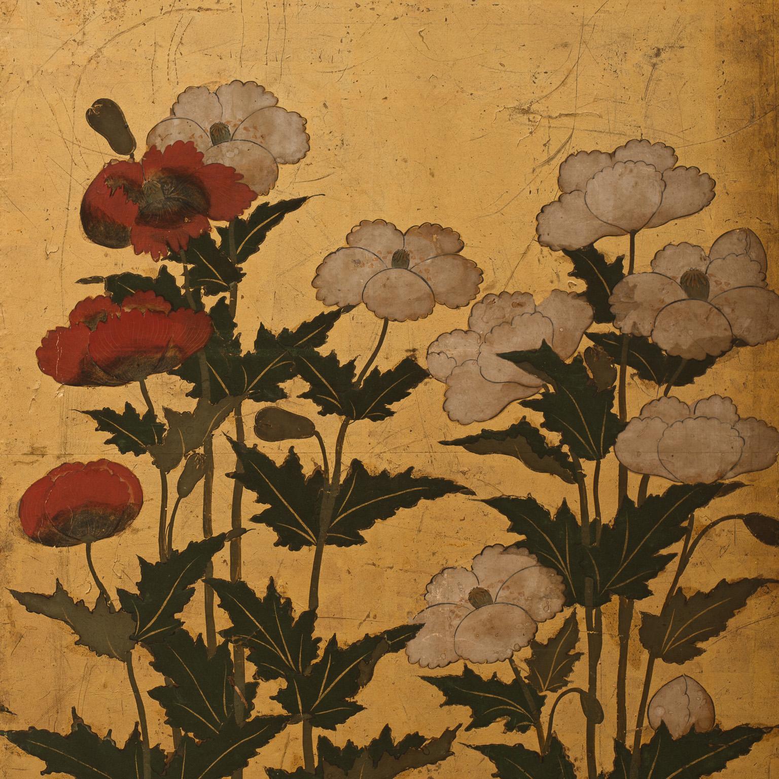 Six-panel Japanese folding screen representing some poppies on a golden ground. The poppies are all completely white excepts for tree red flower that sprouts in the left part of the composition and some chrysanthemums in the centre.