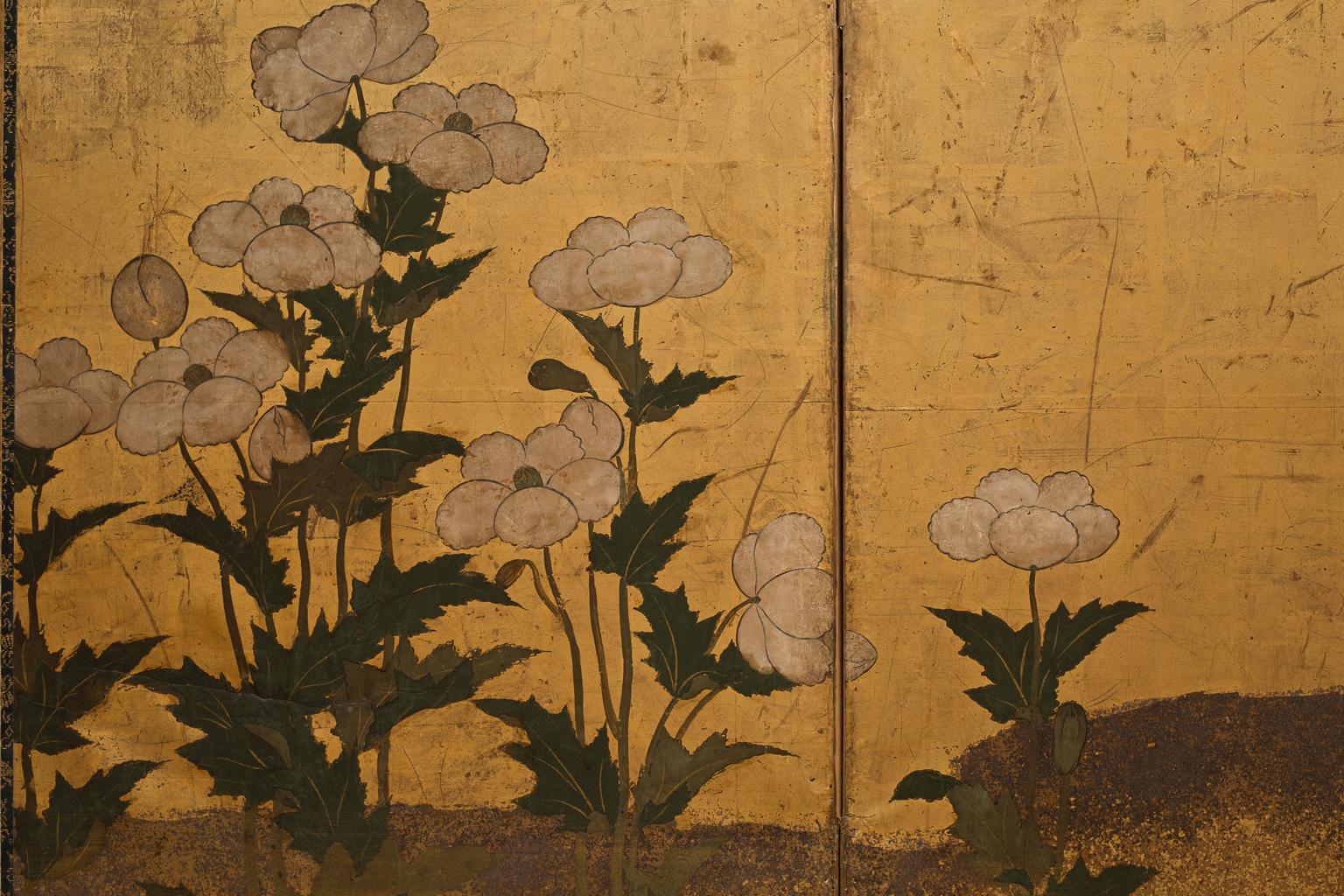 Painted Japanese Rinpa School Folding Screen with Poppies, 17th Century