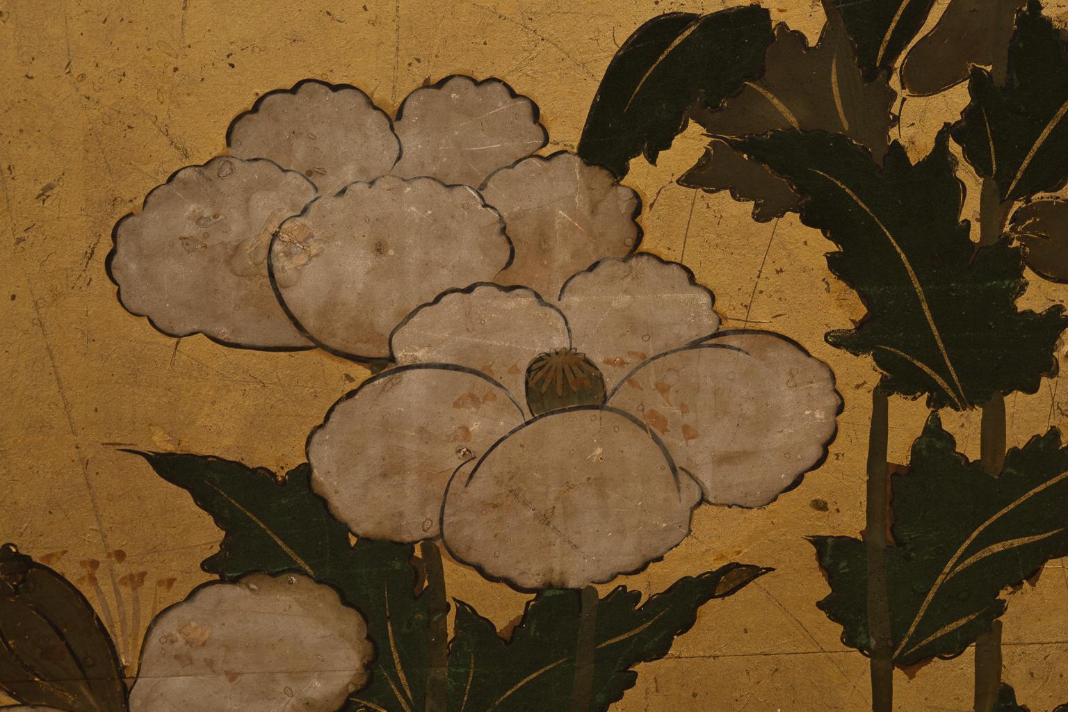 Paper Japanese Rinpa School Folding Screen with Poppies, 17th Century