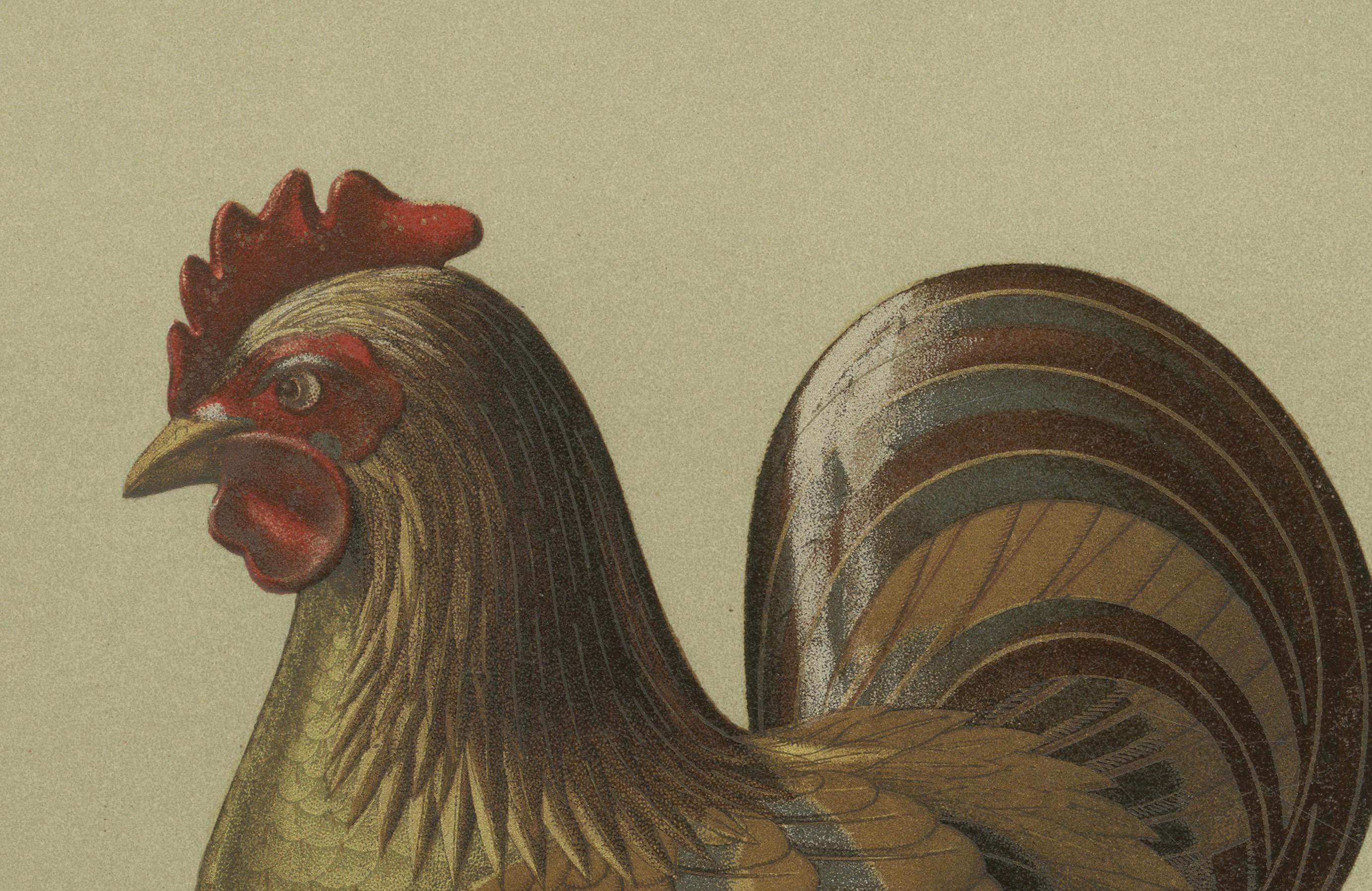 Title: Japanese Rooster Drum Stand: Antique Lithograph, 1880s

Description:
This detailed lithograph from the 1880s features an exquisite depiction of a traditional Japanese drum stand, elegantly topped with a carved rooster figure. Published by