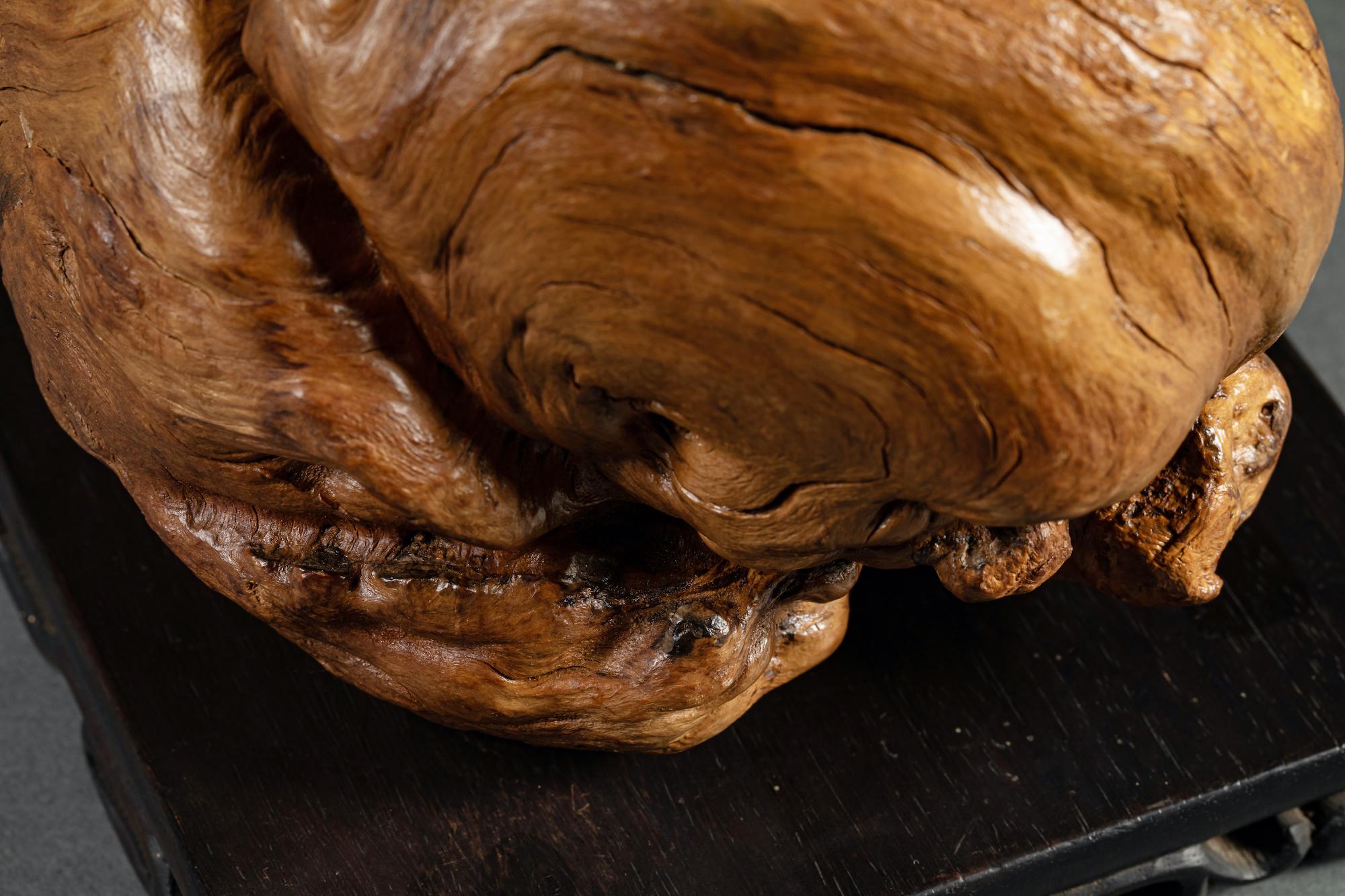 Scultura in legno di radice giapponese con due cuccioli di leone Shi Shi in vendita 5