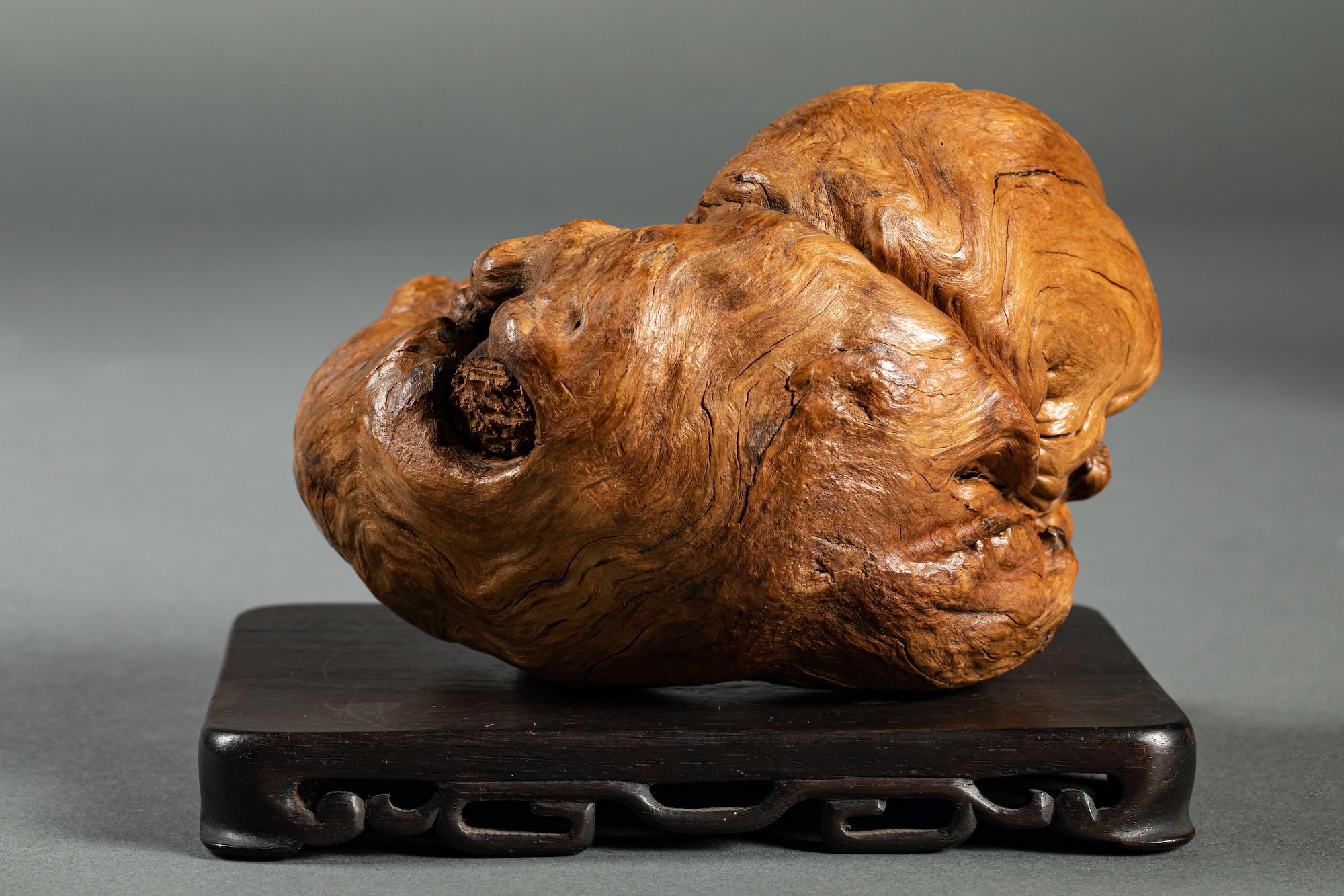 Scultura in legno di radice giapponese con due cuccioli di leone Shi Shi in vendita 9