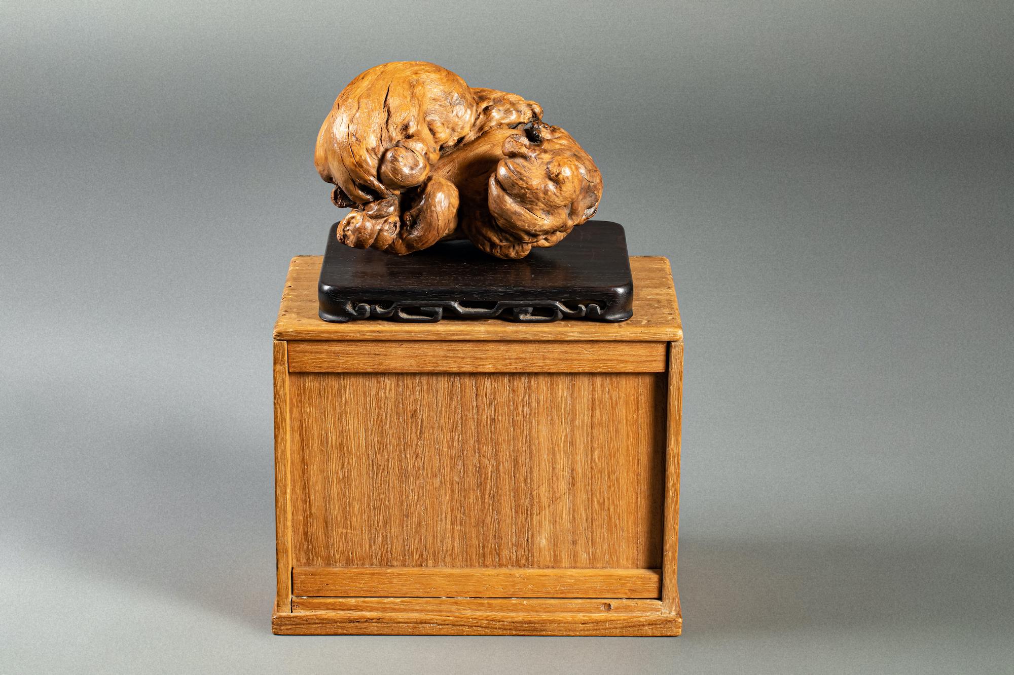 Scultura in legno di radice giapponese con due cuccioli di leone Shi Shi in vendita 10