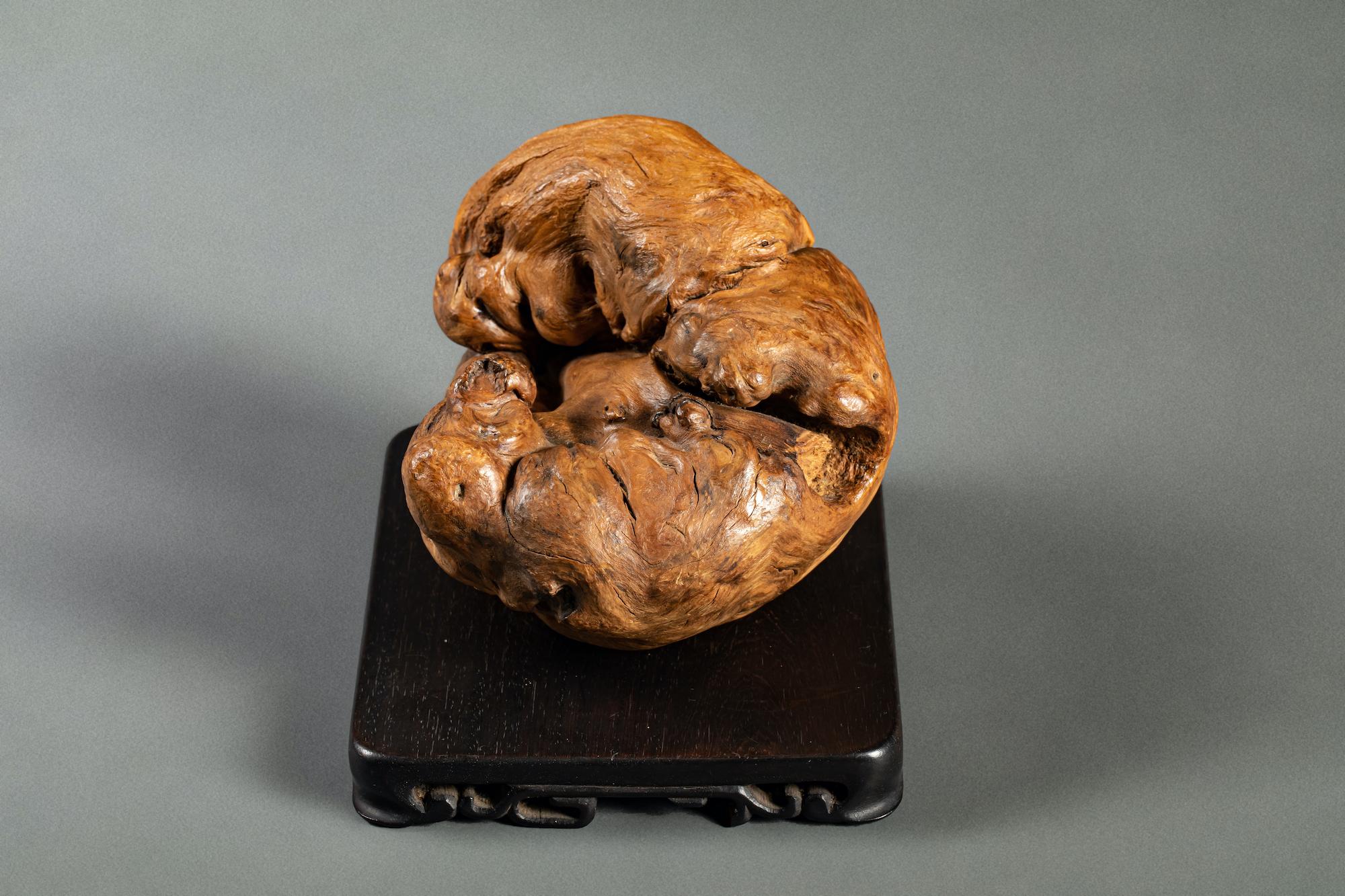 Giapponese Scultura in legno di radice giapponese con due cuccioli di leone Shi Shi in vendita