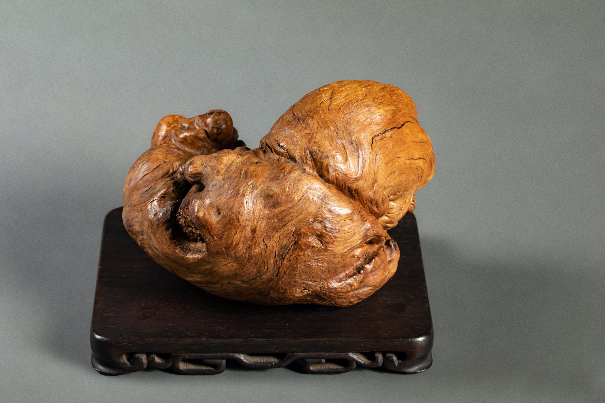 19th Century Japanese Root-Wood Sculpture of Two Shi Shi Lion Pups For Sale