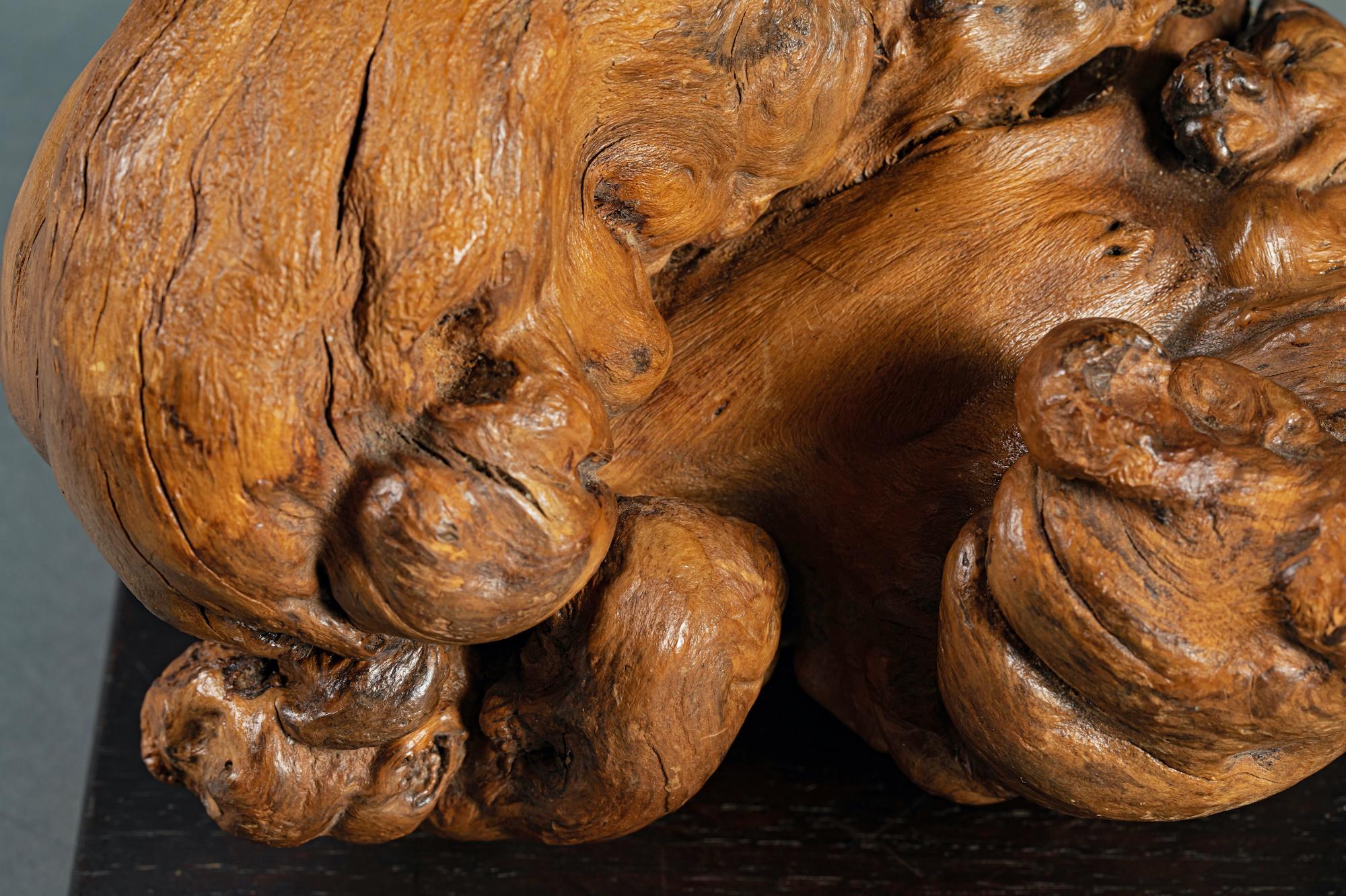 Japanische japanische Wurzelholz-Skulptur von zwei Shi Shi-Shi-Löwenpuppen im Angebot 2