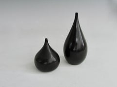 Shakers à épices au sel japonais