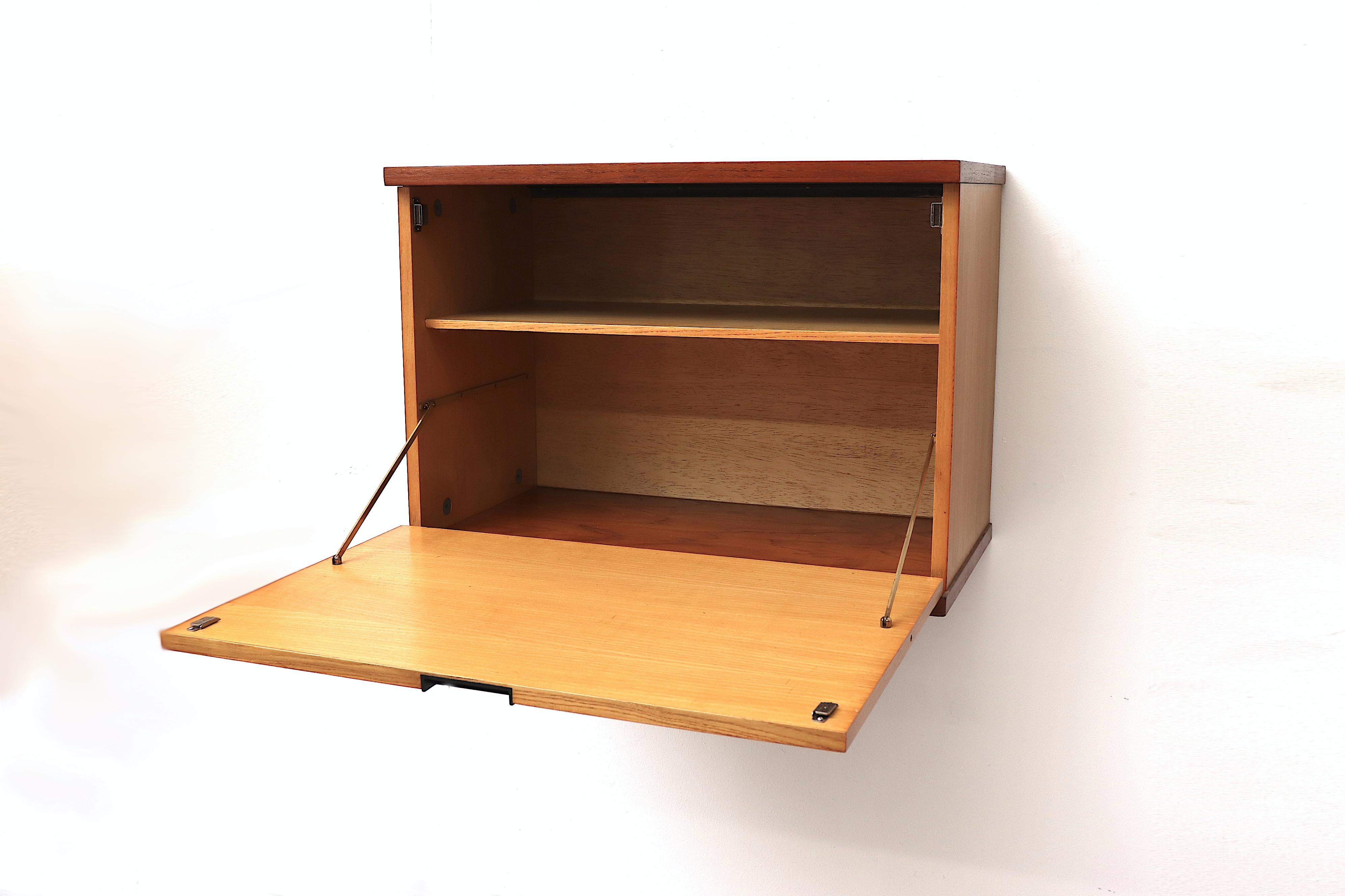 Mid-Century Modern Japanese Series Teak Wall Mount Cabinet for Pastoe