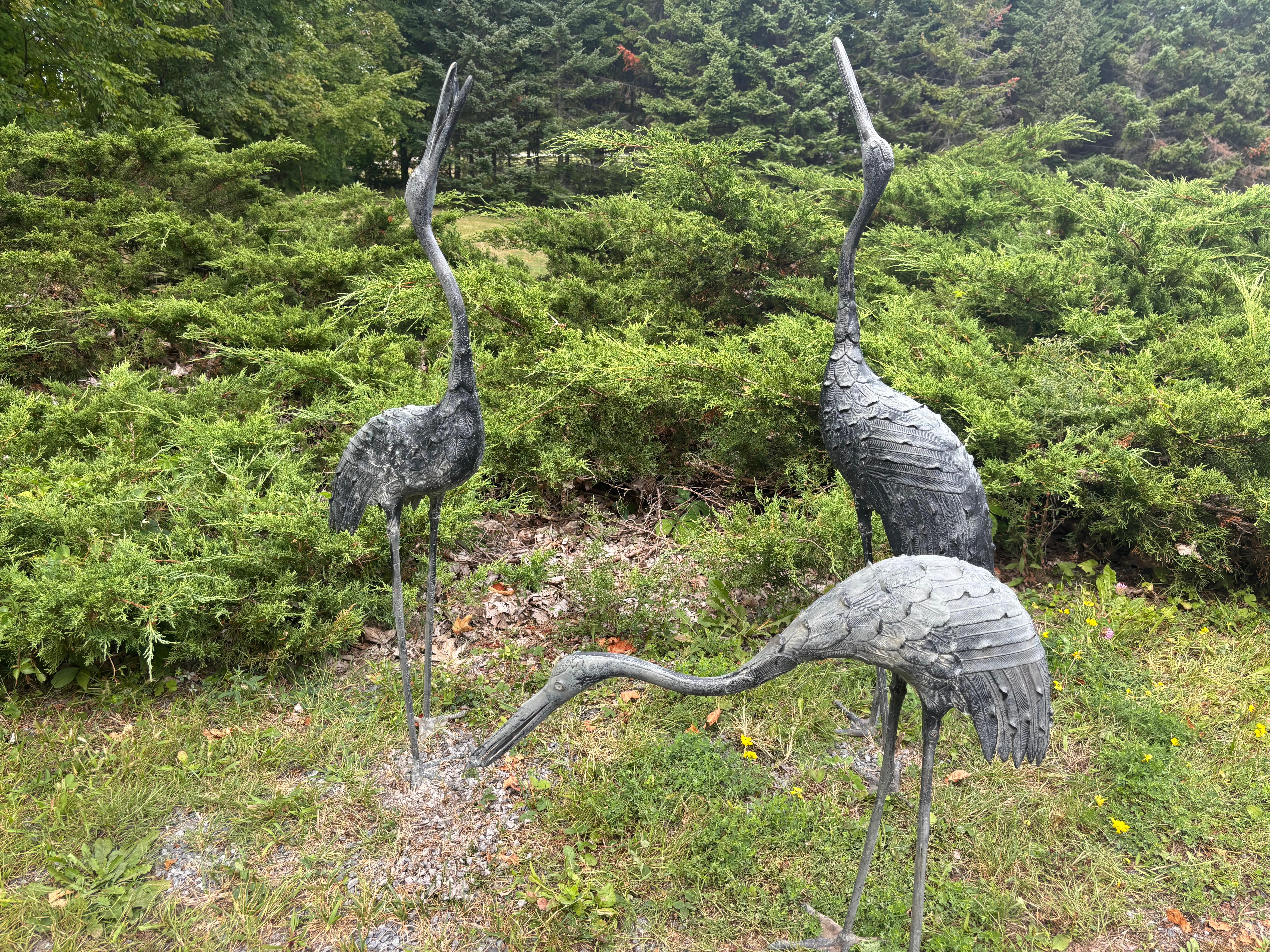 Taisho Japanese Set Three Large Antique Bronze Red Crested Cranes, Complete For Sale
