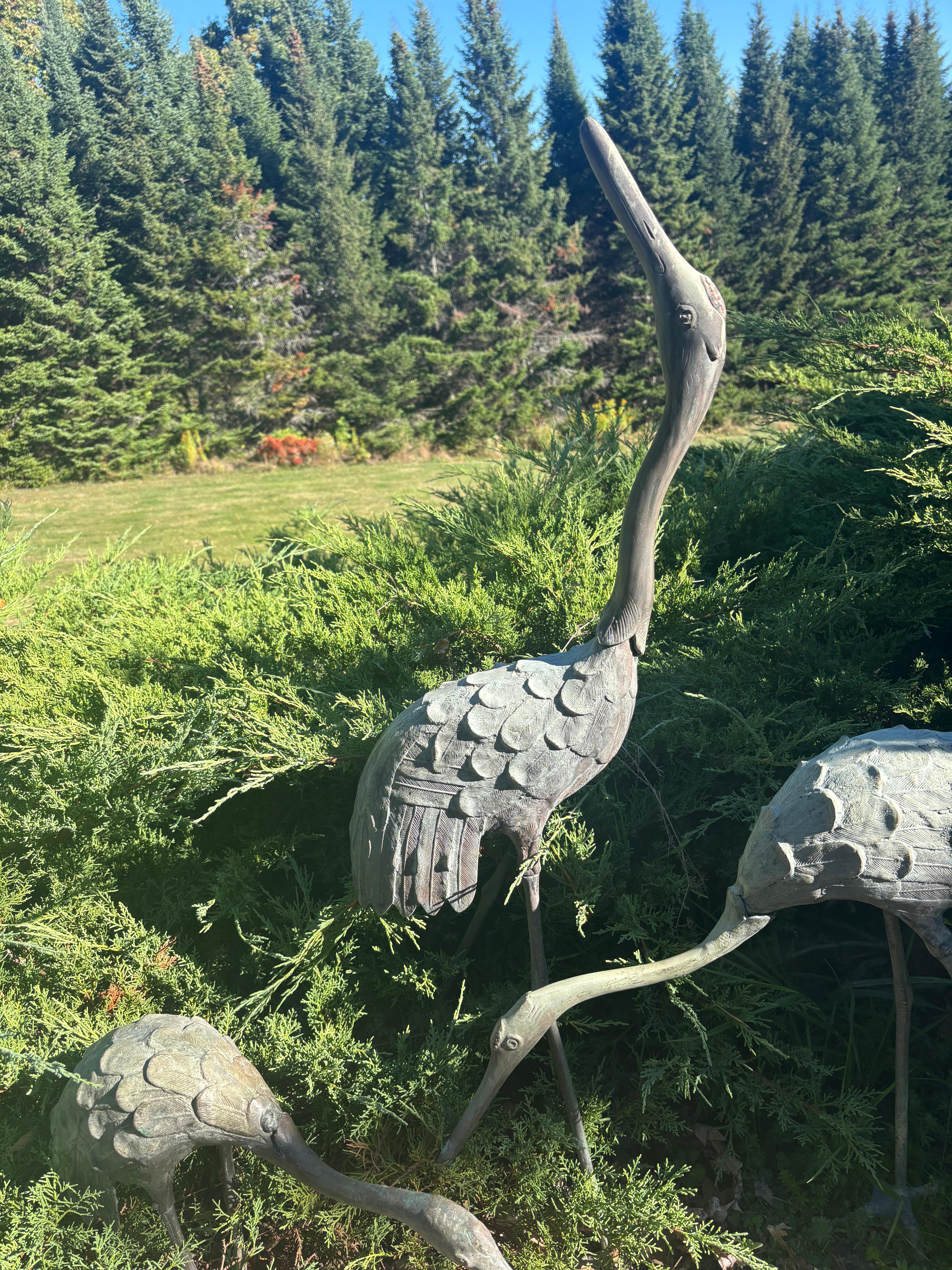 Ensemble japonais de trois grandes grues à crête rouge en bronze ancien, complet Bon état - En vente à South Burlington, VT