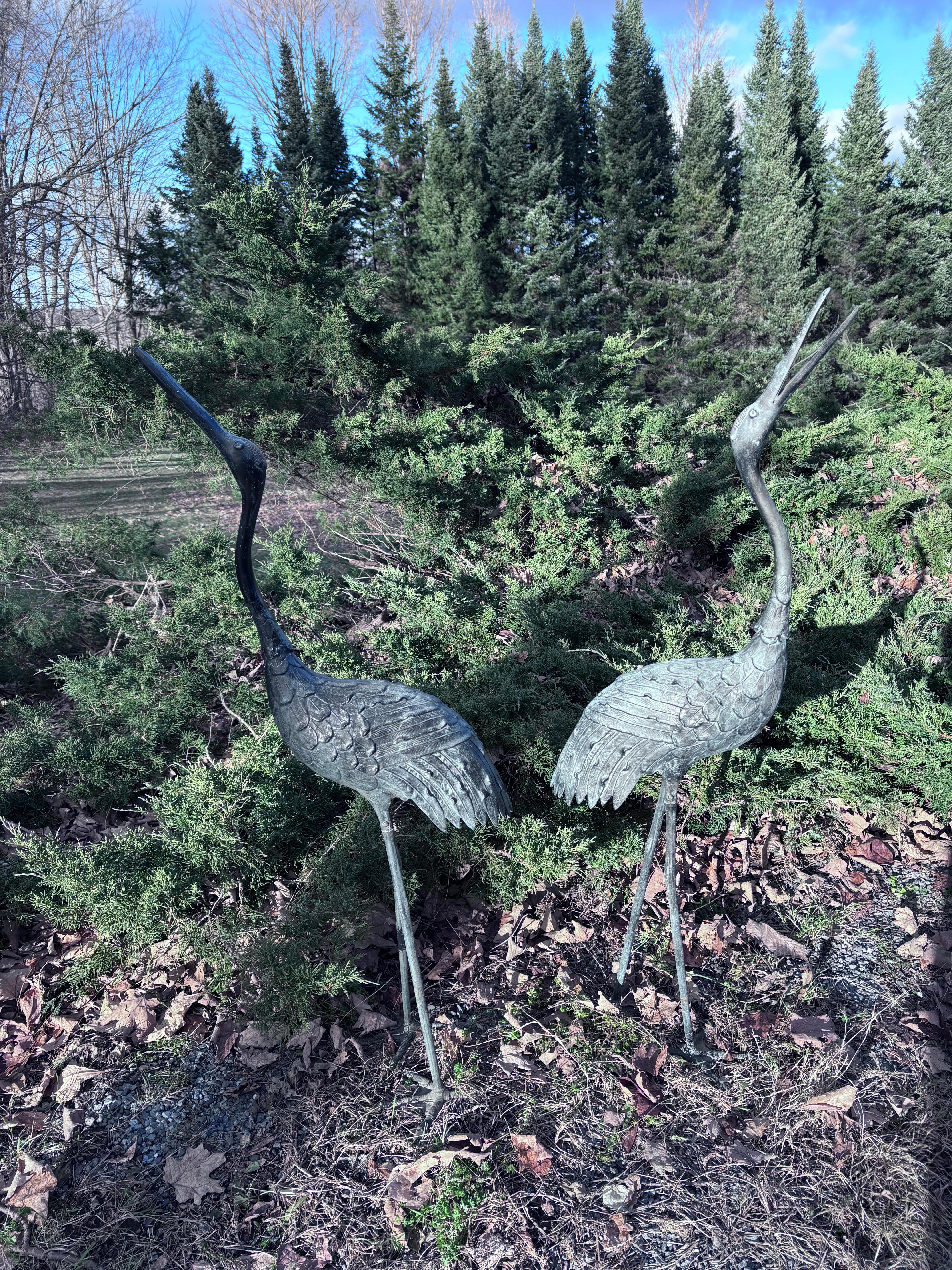 Japanese Set Two Antique Large And Elegant Bronze Red Crested Garden Cranes 6