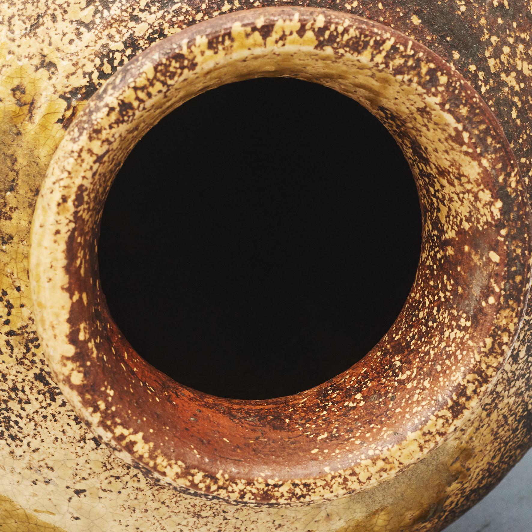 Japanese Shigaraki Ash Glazed Storage Jar 1