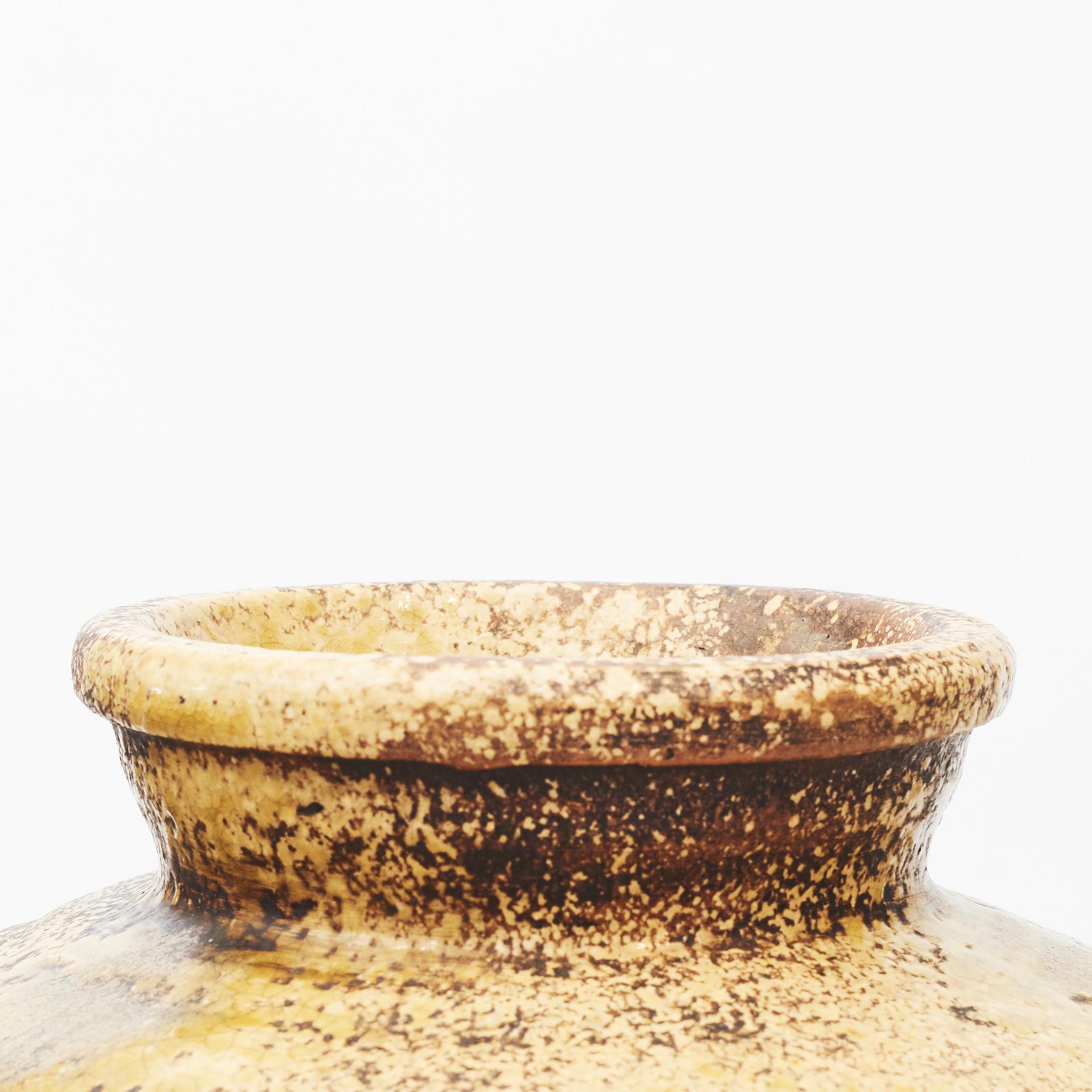 Japanese Shigaraki Ash Glazed Storage Jar 2